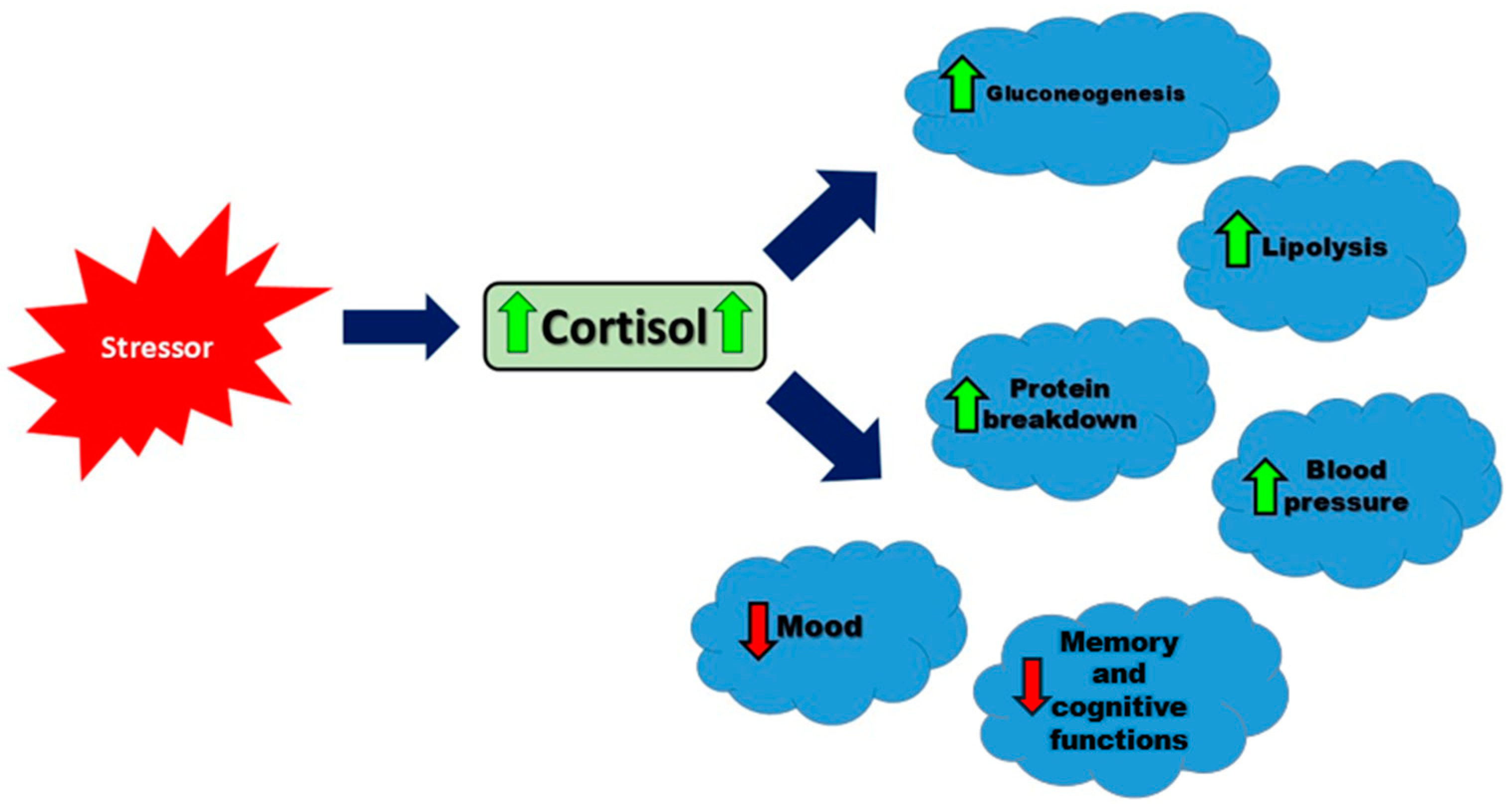 Diseases 12 00220 g001