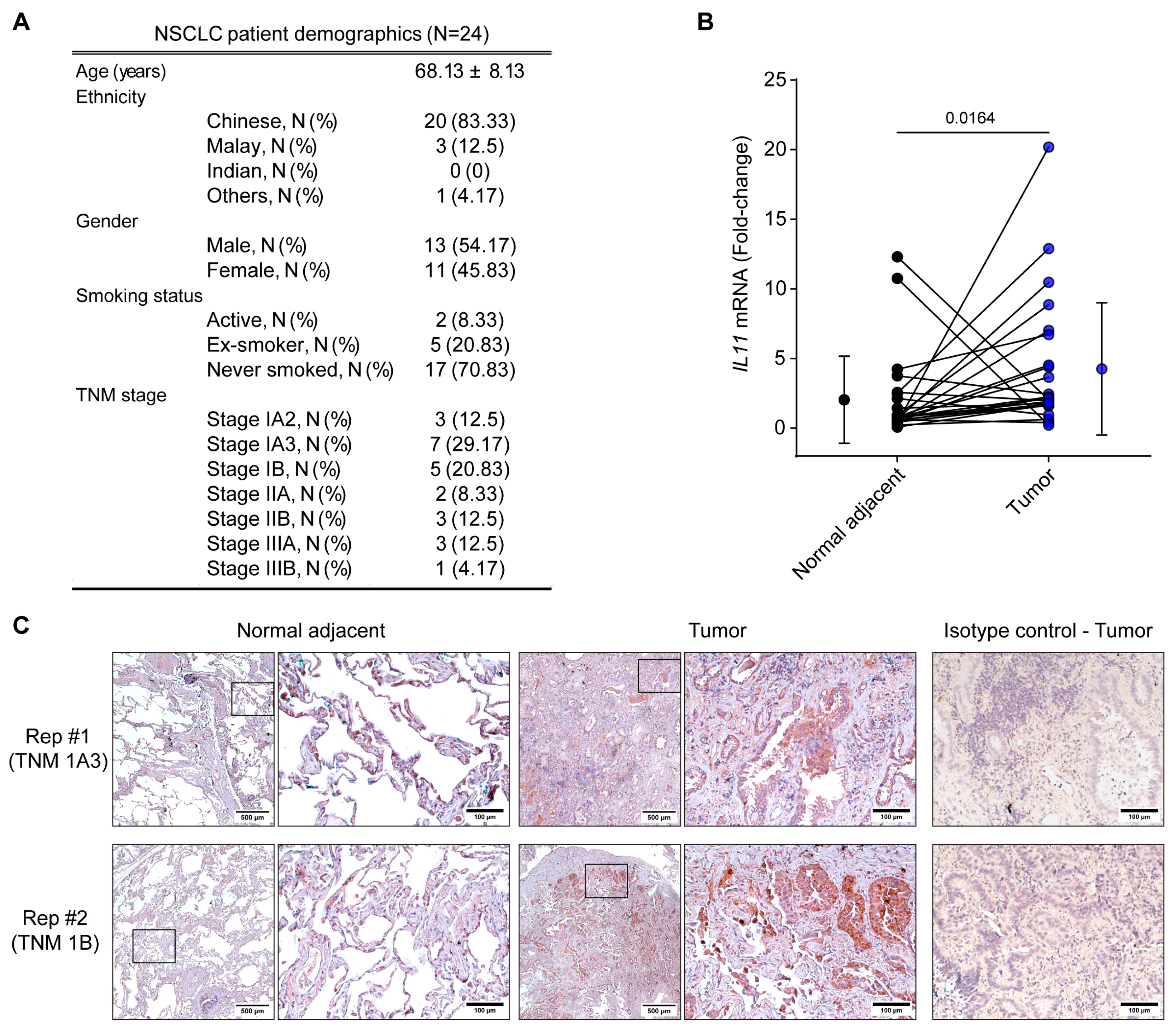 Diseases 12 00221 g004 Diseases 12 00221 g004