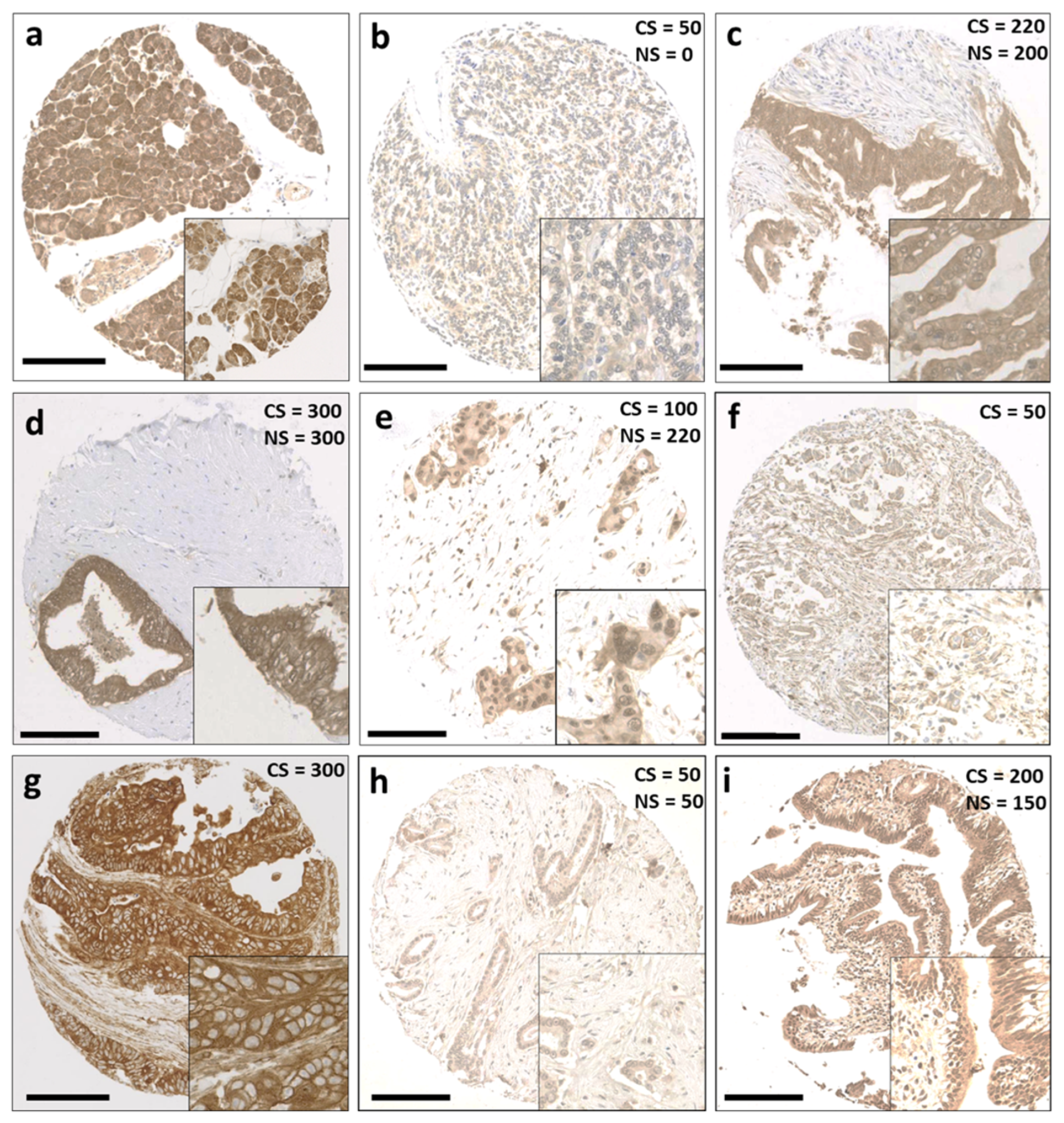Diseases 12 00227 g001 Diseases 12 00227 g001