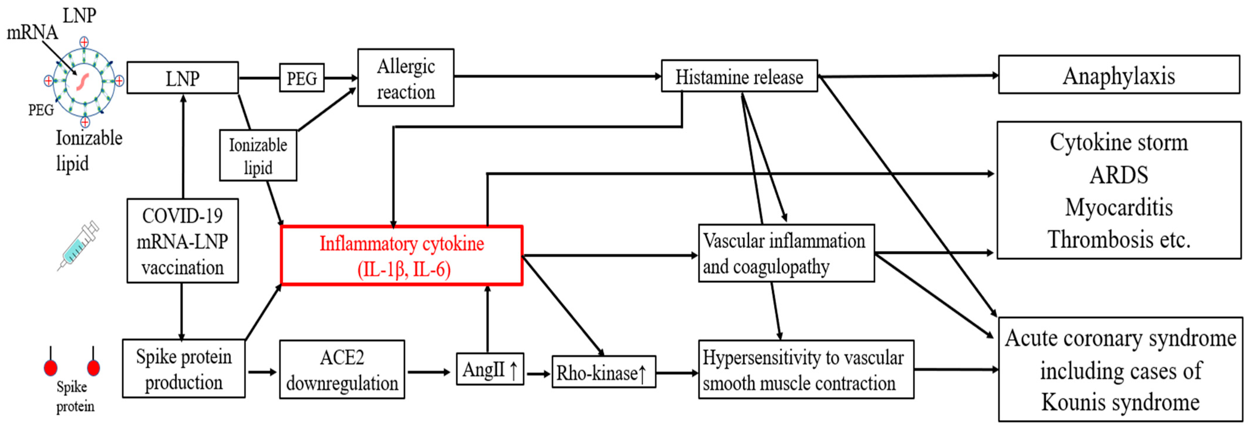 Diseases 12 00231 g001