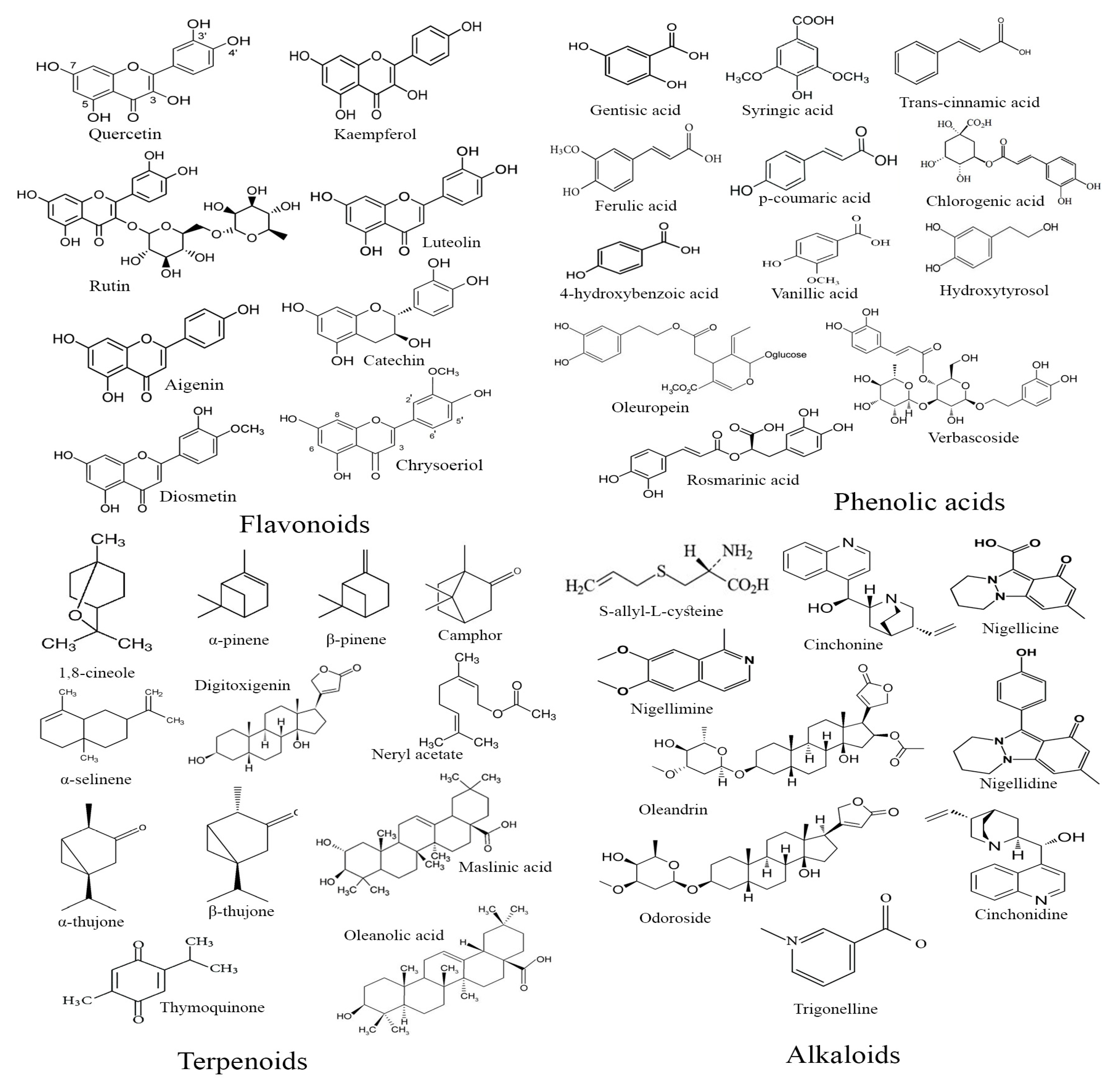 Diseases 12 00246 g008