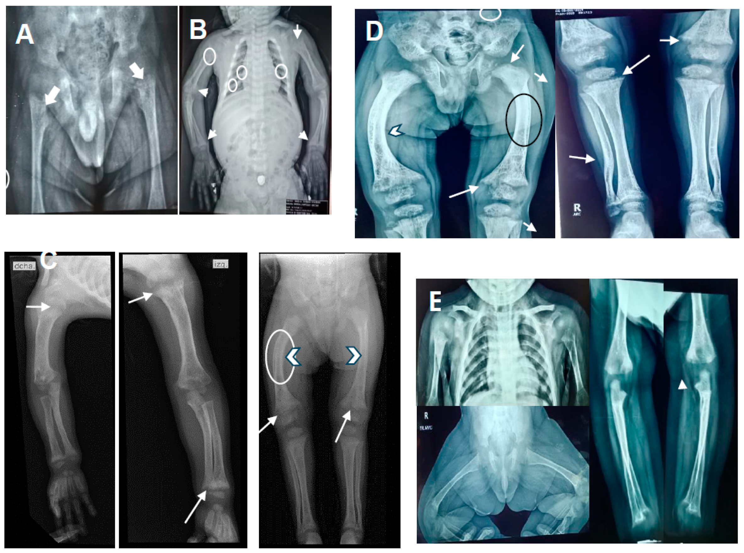 Diseases 12 00248 g001