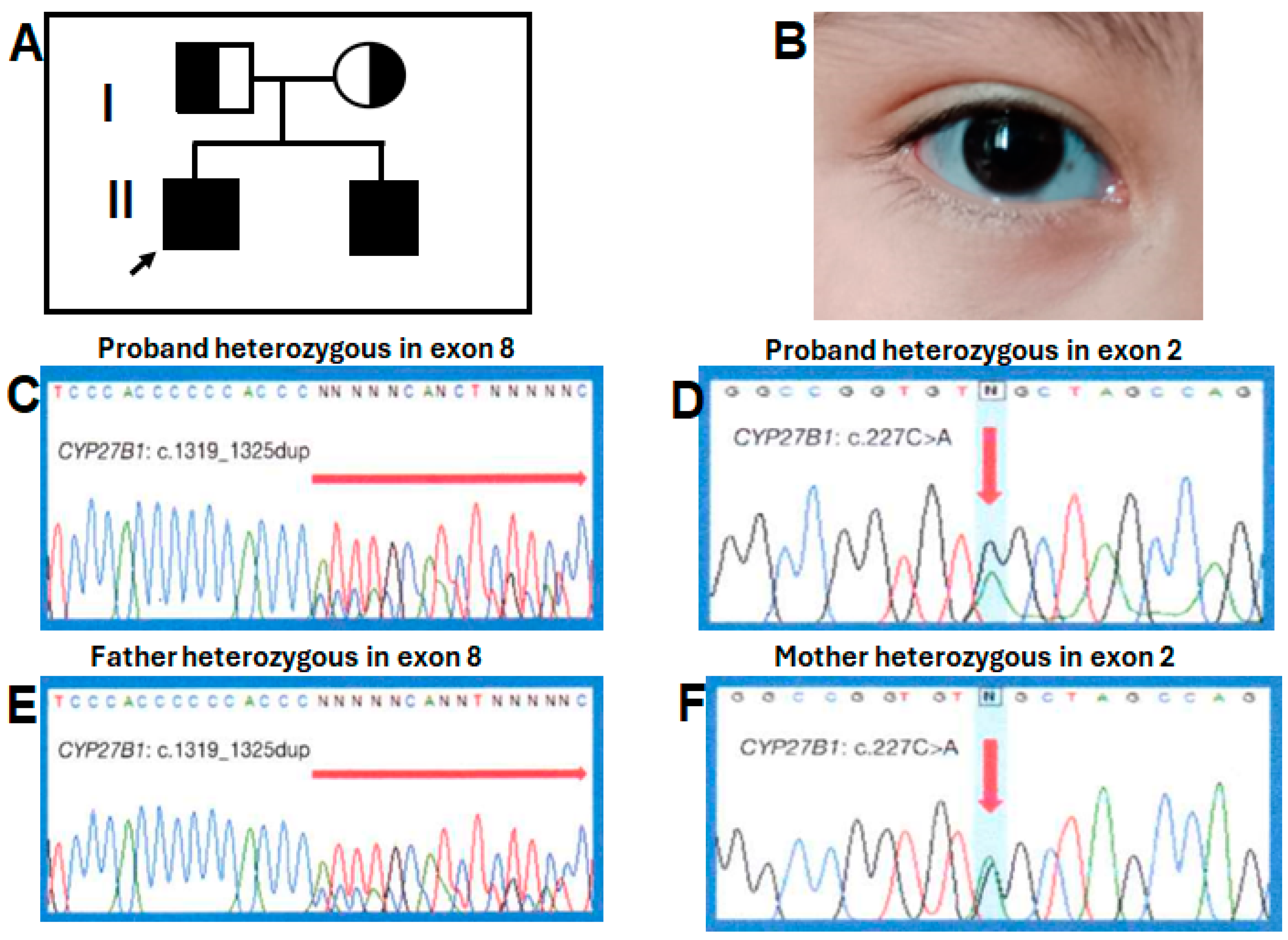 Diseases 12 00248 g002
