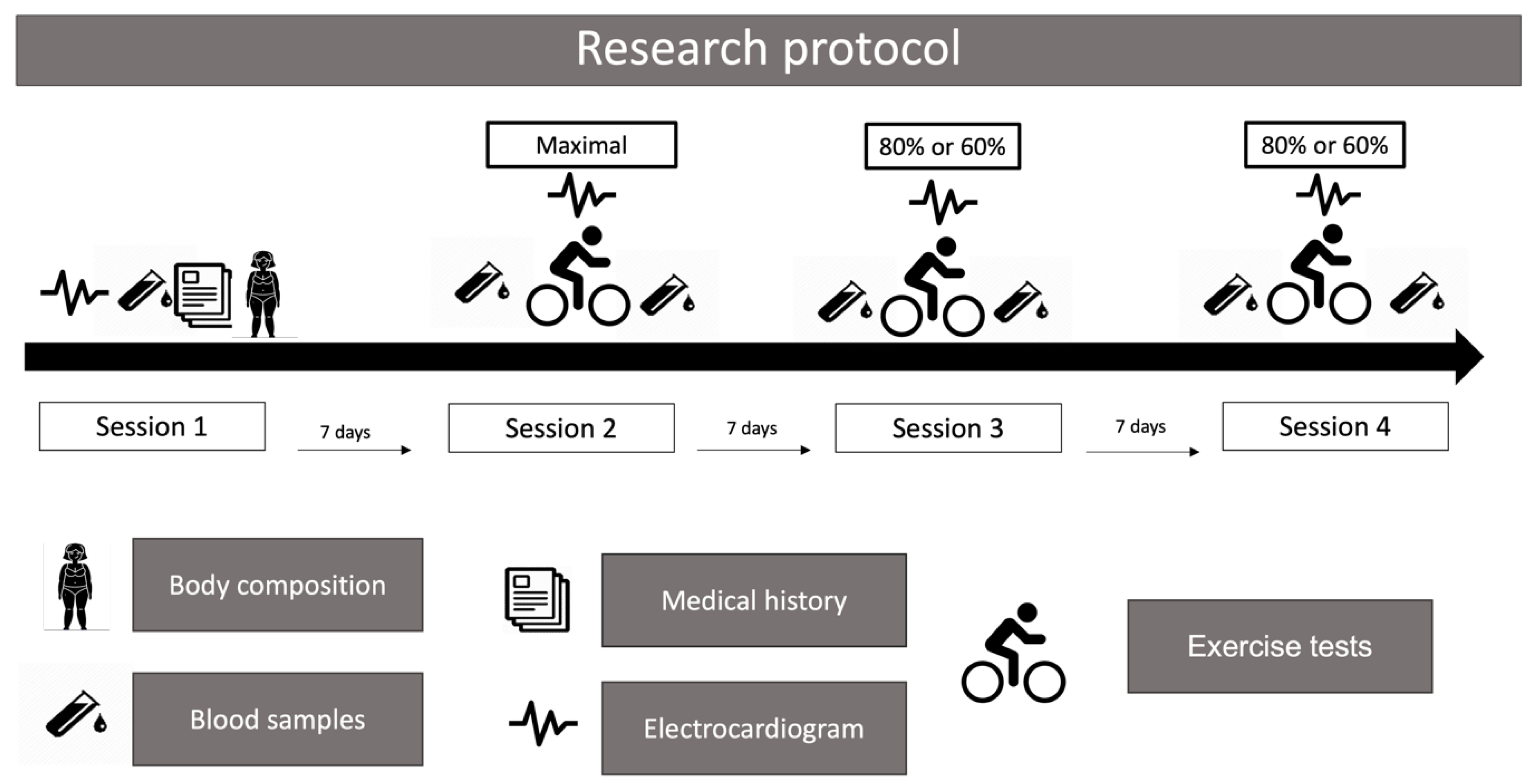 Diseases 12 00249 g002