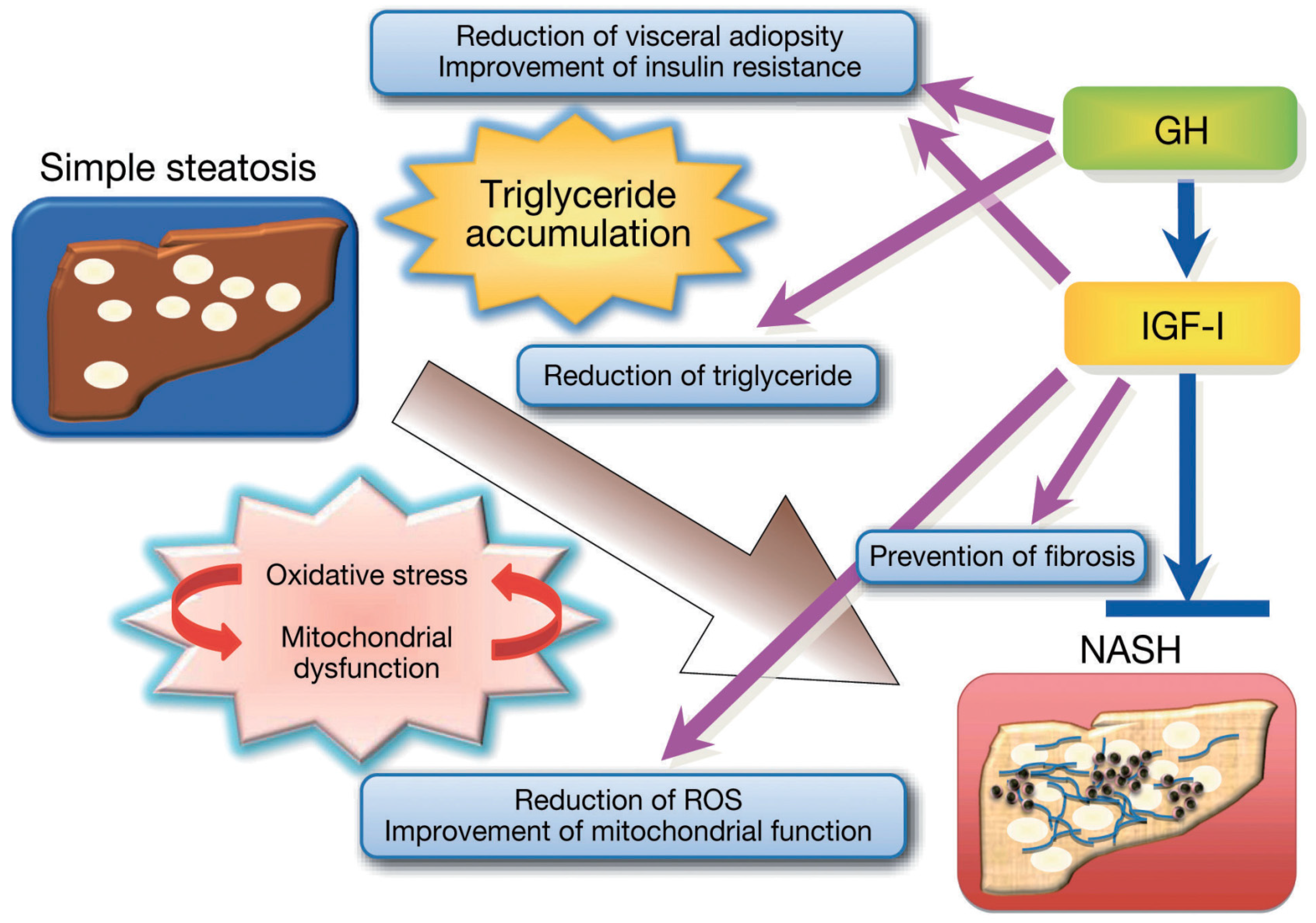Diseases 12 00251 g003 Diseases 12 00251 g003