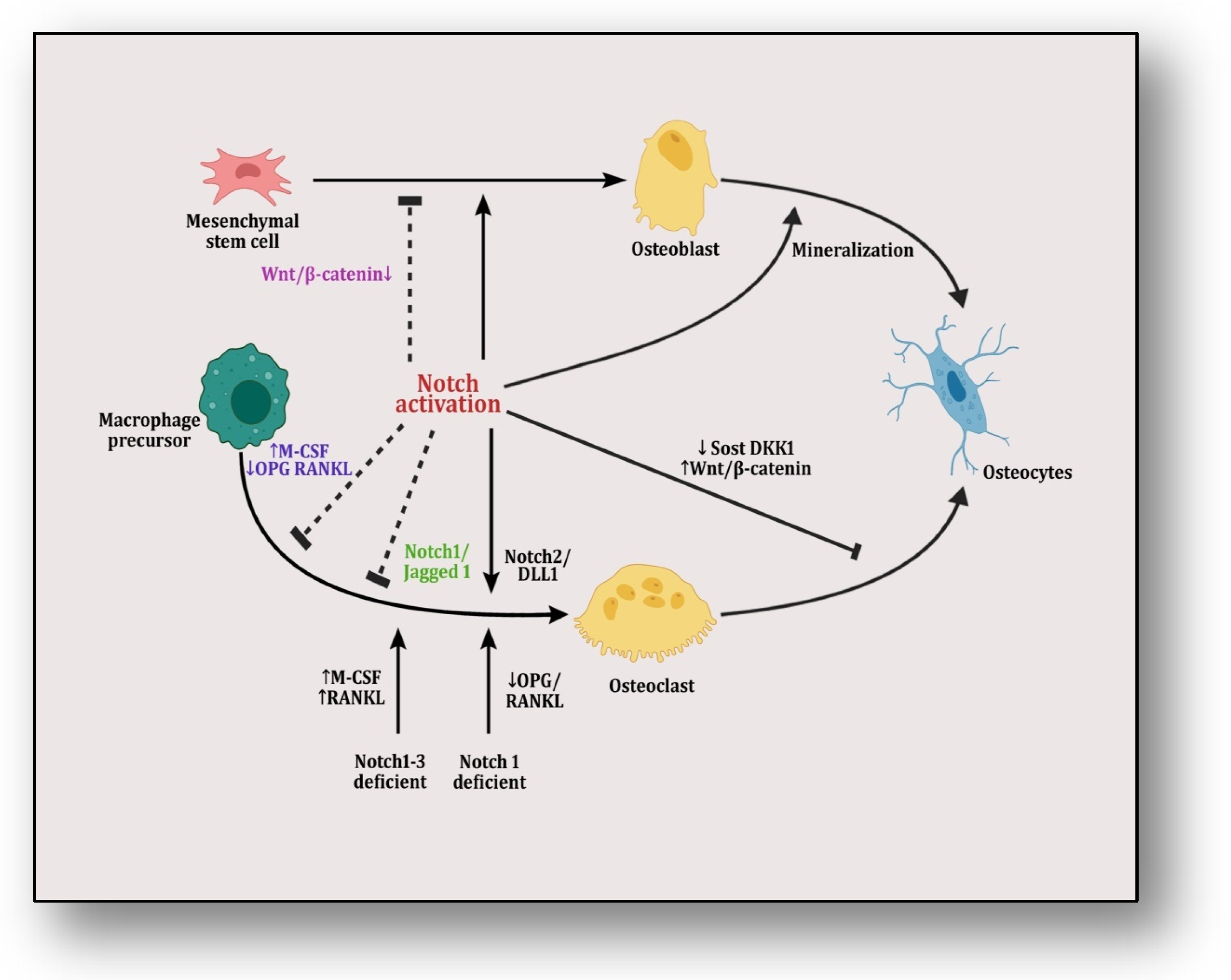 Diseases 12 00252 g003 Diseases 12 00252 g003