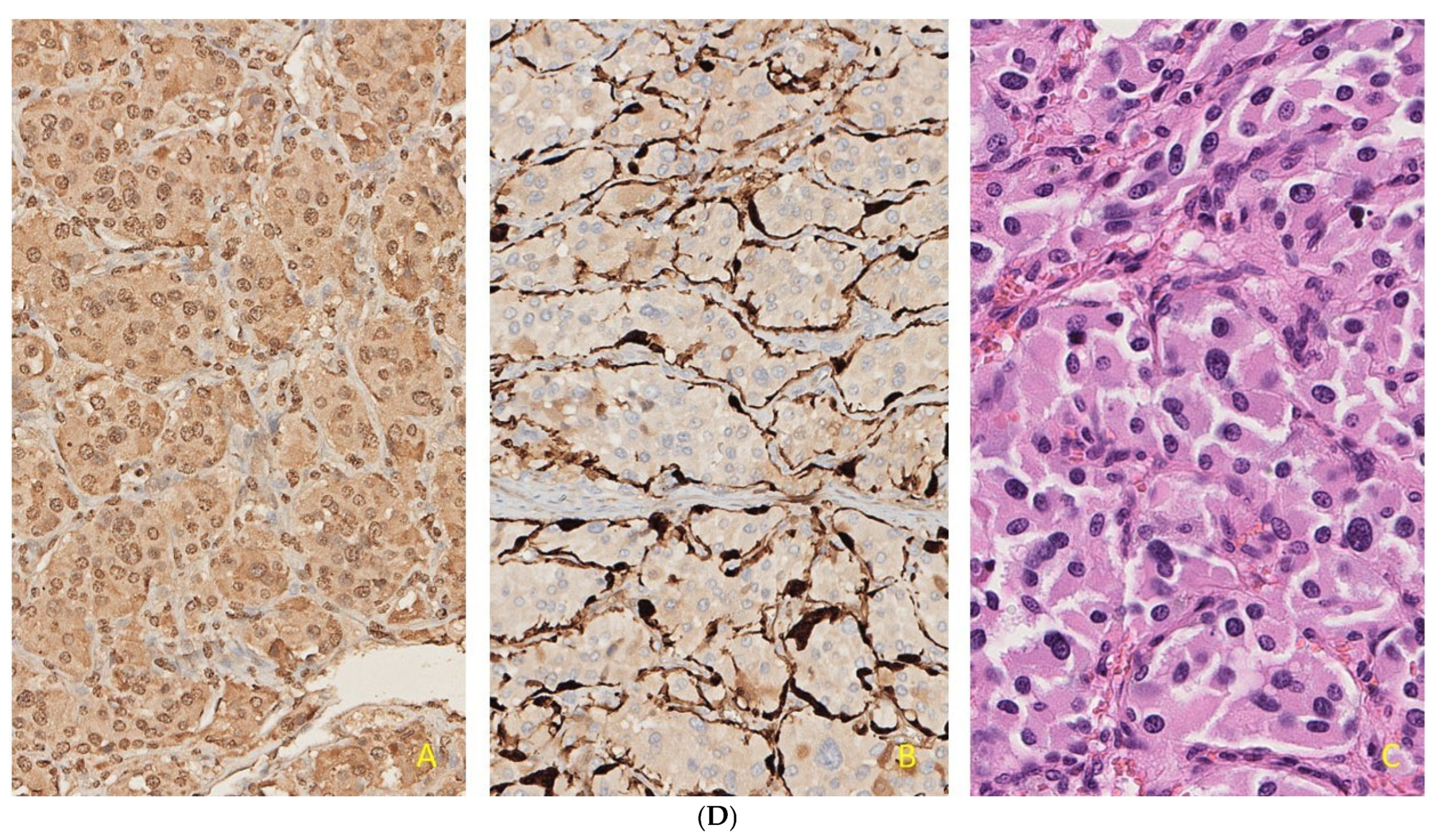 Diseases 12 00259 g002c