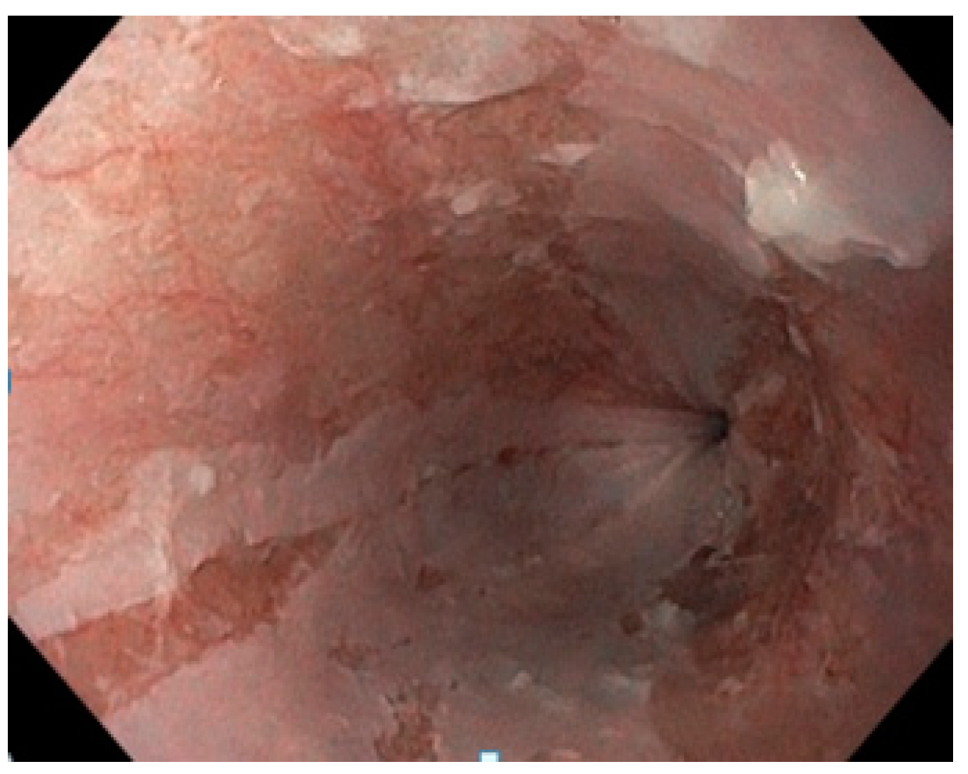 Diseases 12 00263 g001 Diseases 12 00263 g001