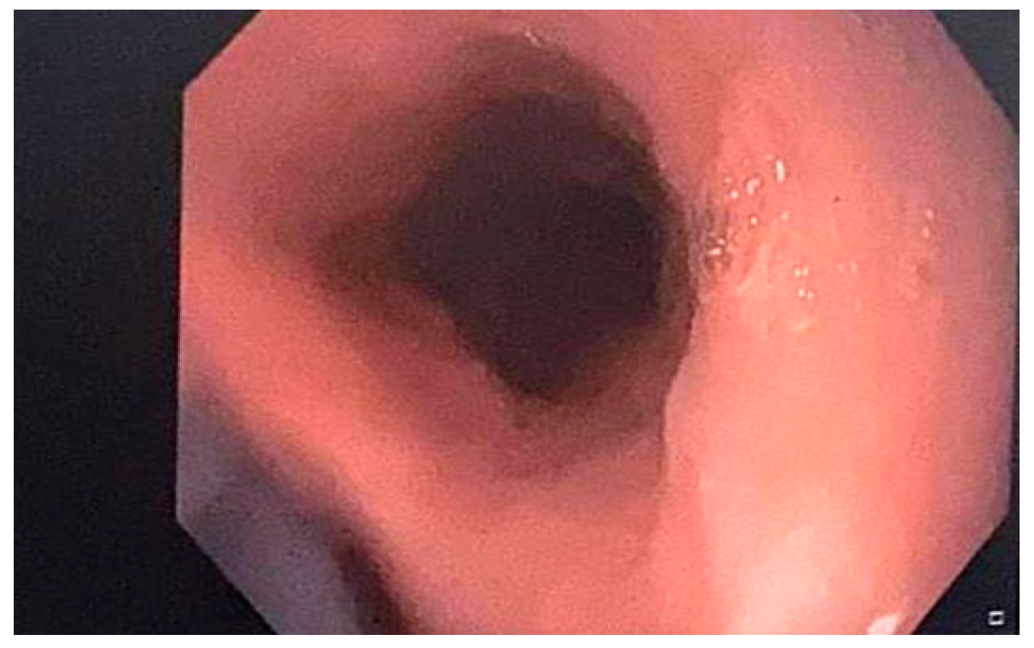 Diseases 12 00263 g002 Diseases 12 00263 g002