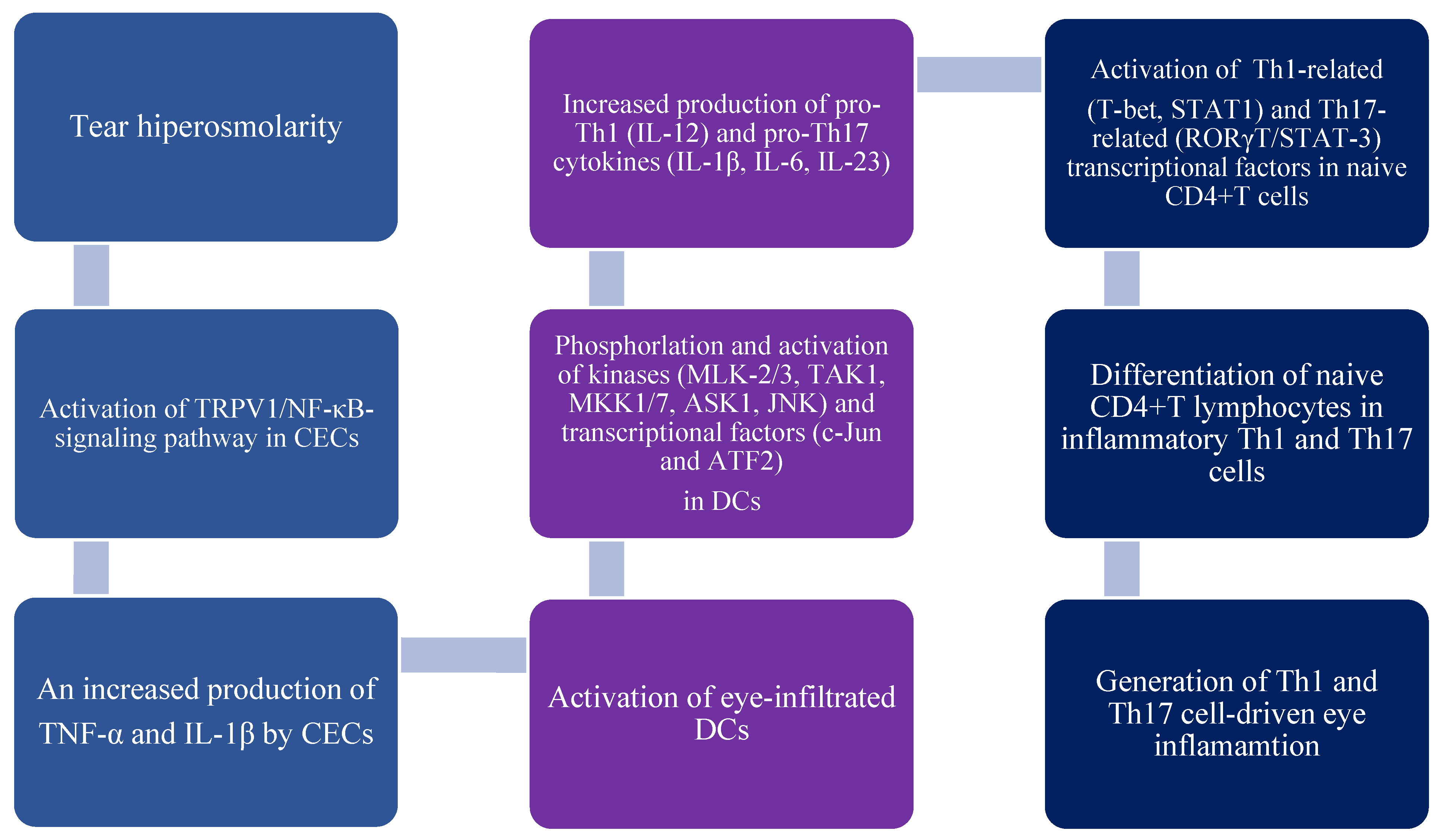 Diseases 12 00269 g001