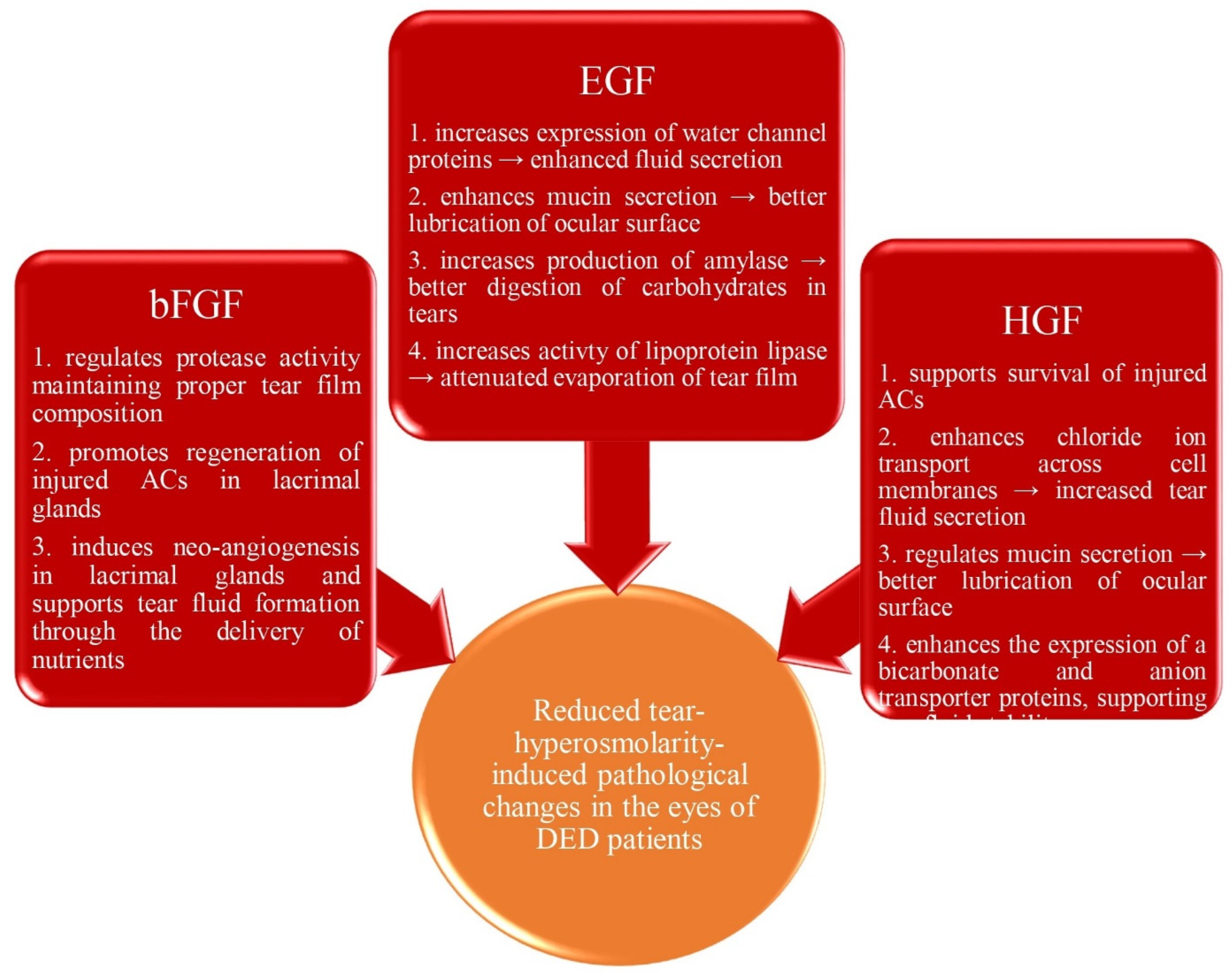 Diseases 12 00269 g003