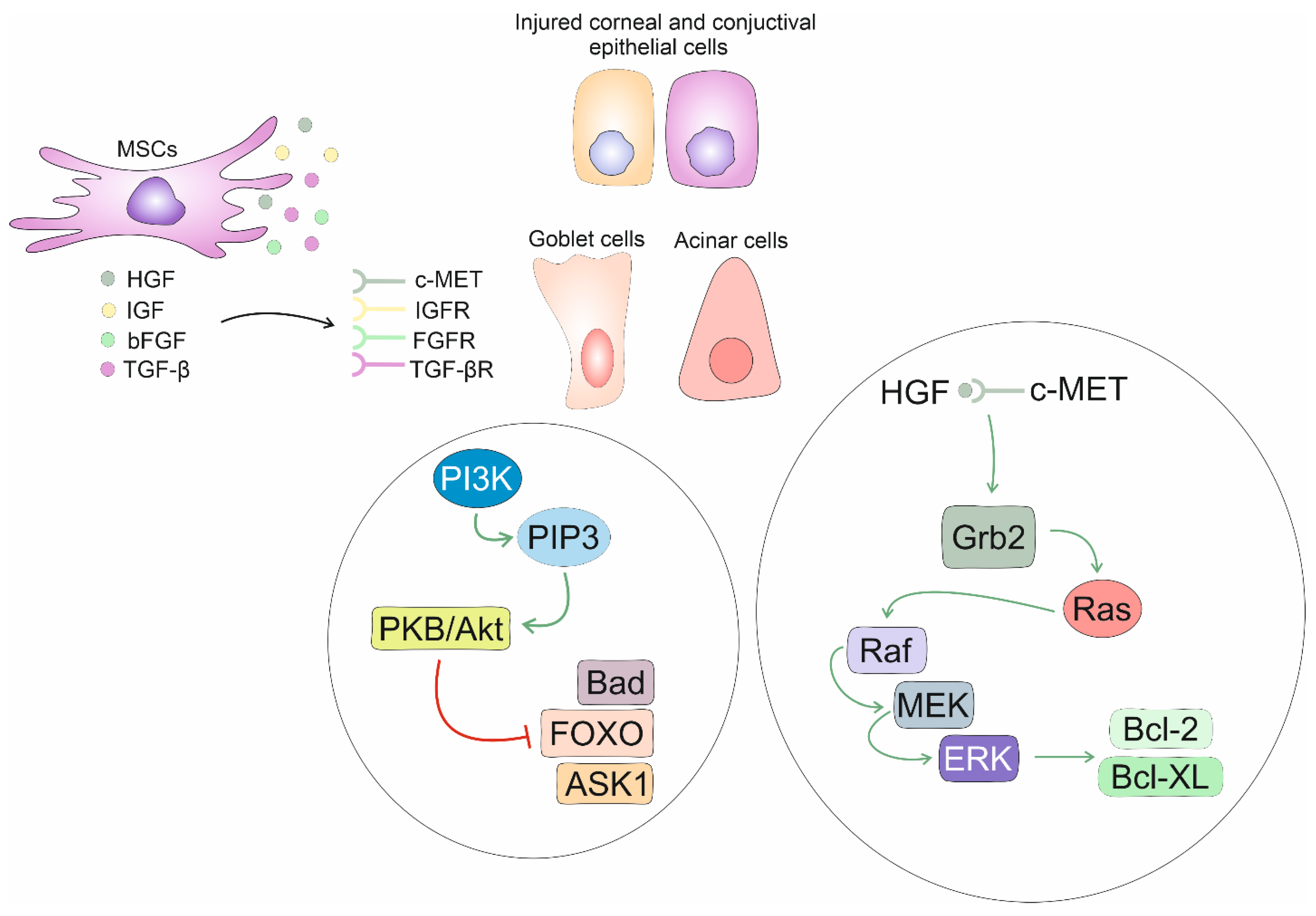 Diseases 12 00269 g004