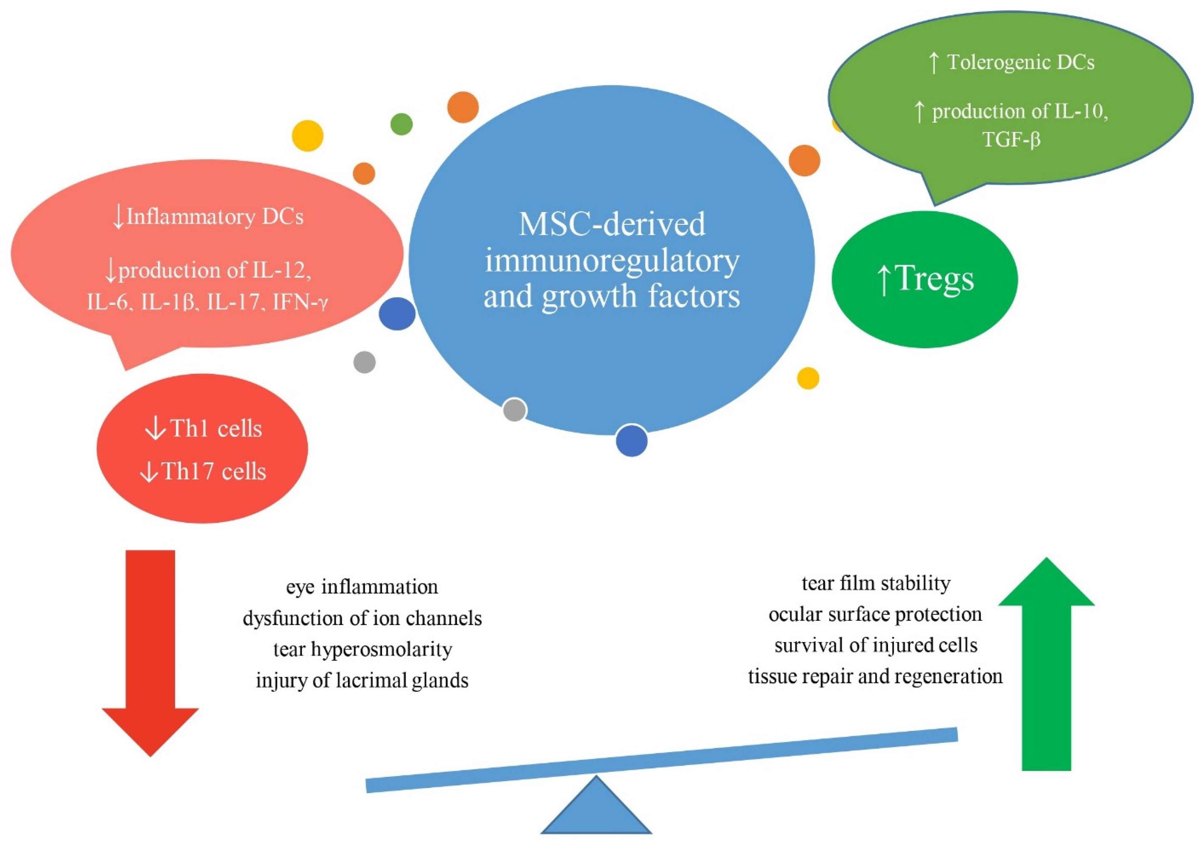 Diseases 12 00269 g005