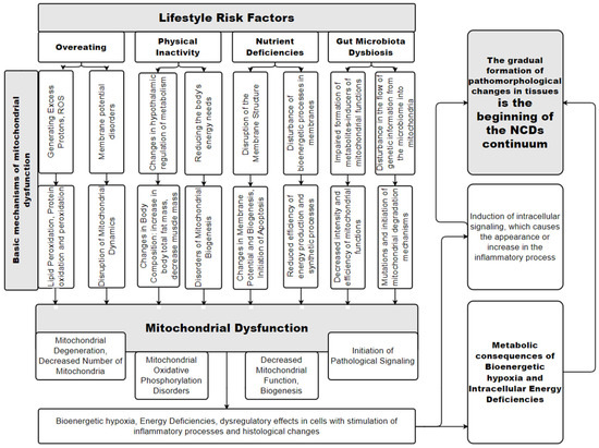 Mitochondrial Dysfunction and Risk Factors for