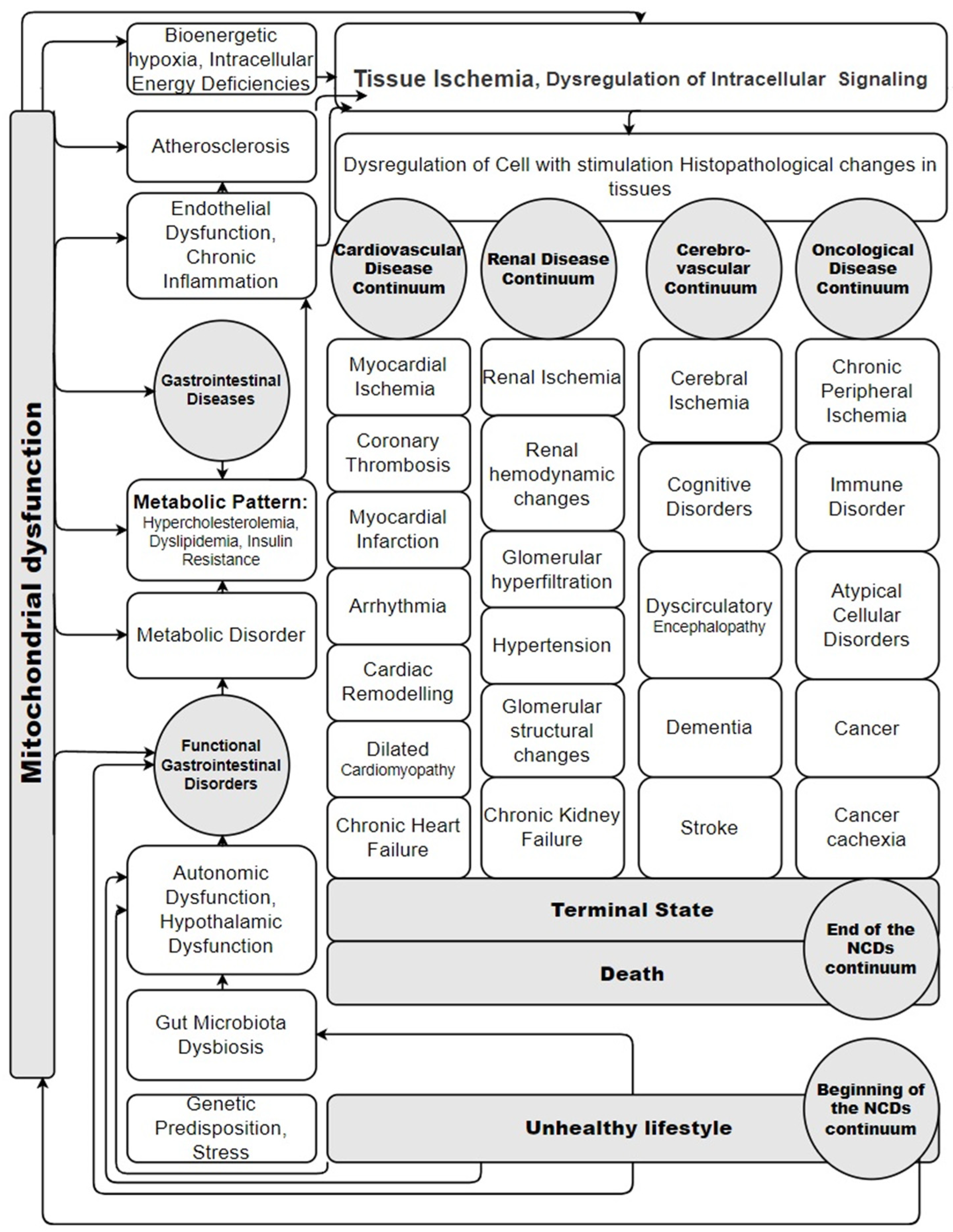 Mitochondrial Dysfunction and Risk Factors for
