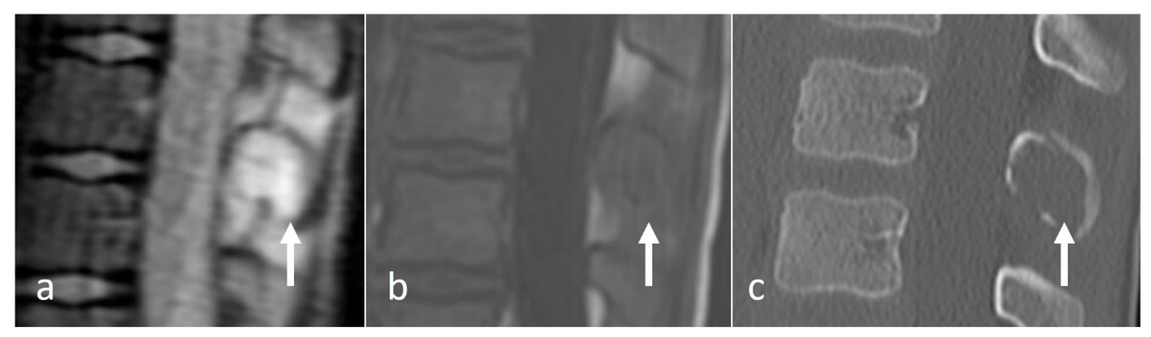 Diseases 12 00302 g007