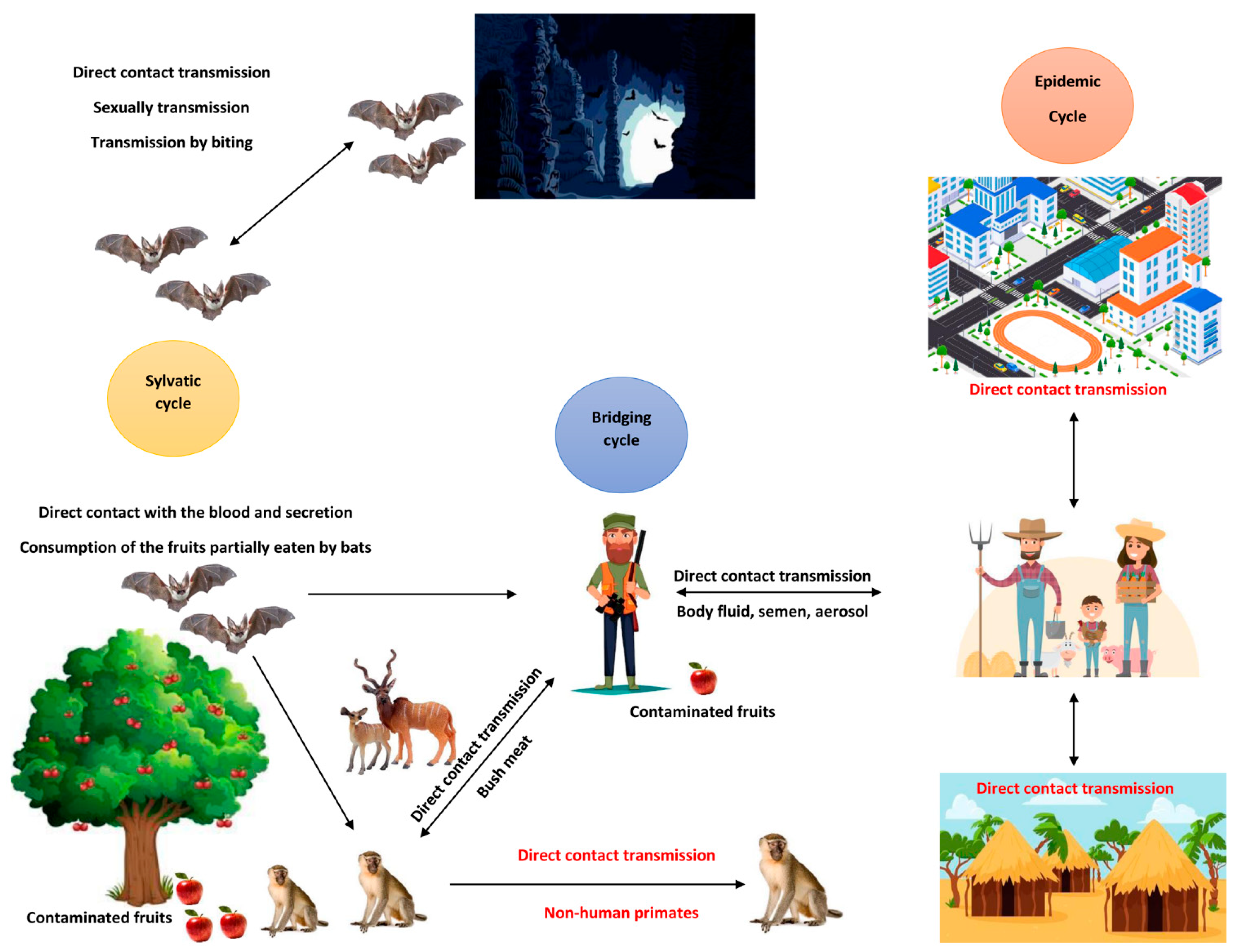 Diseases 12 00309 g002