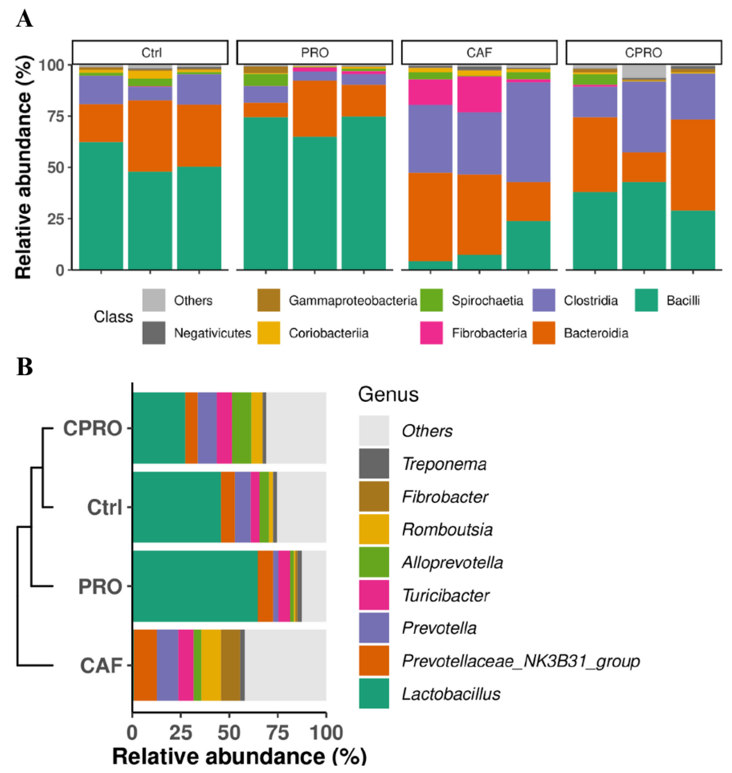Diseases 12 00312 g003
