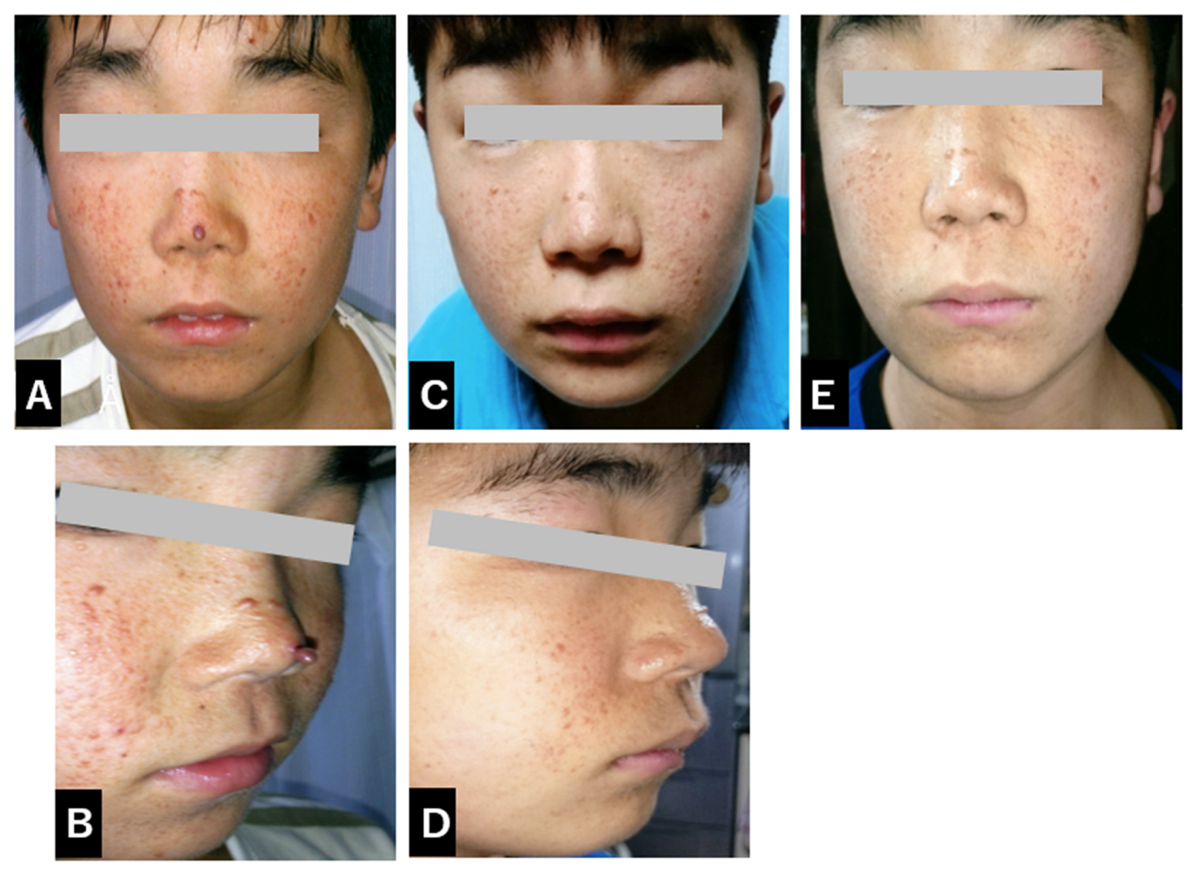 Diseases 12 00334 g001