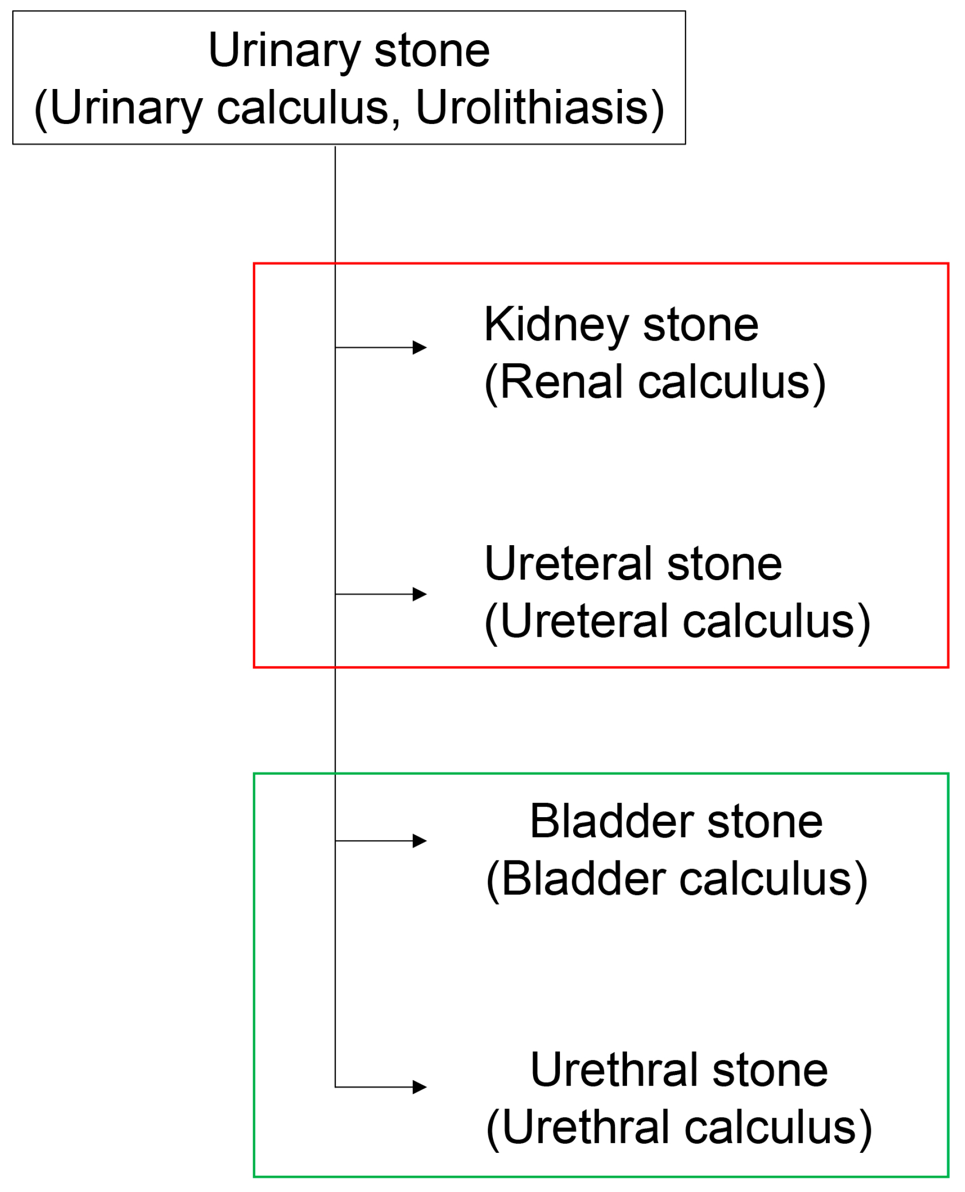 Diseases 13 00007 g001