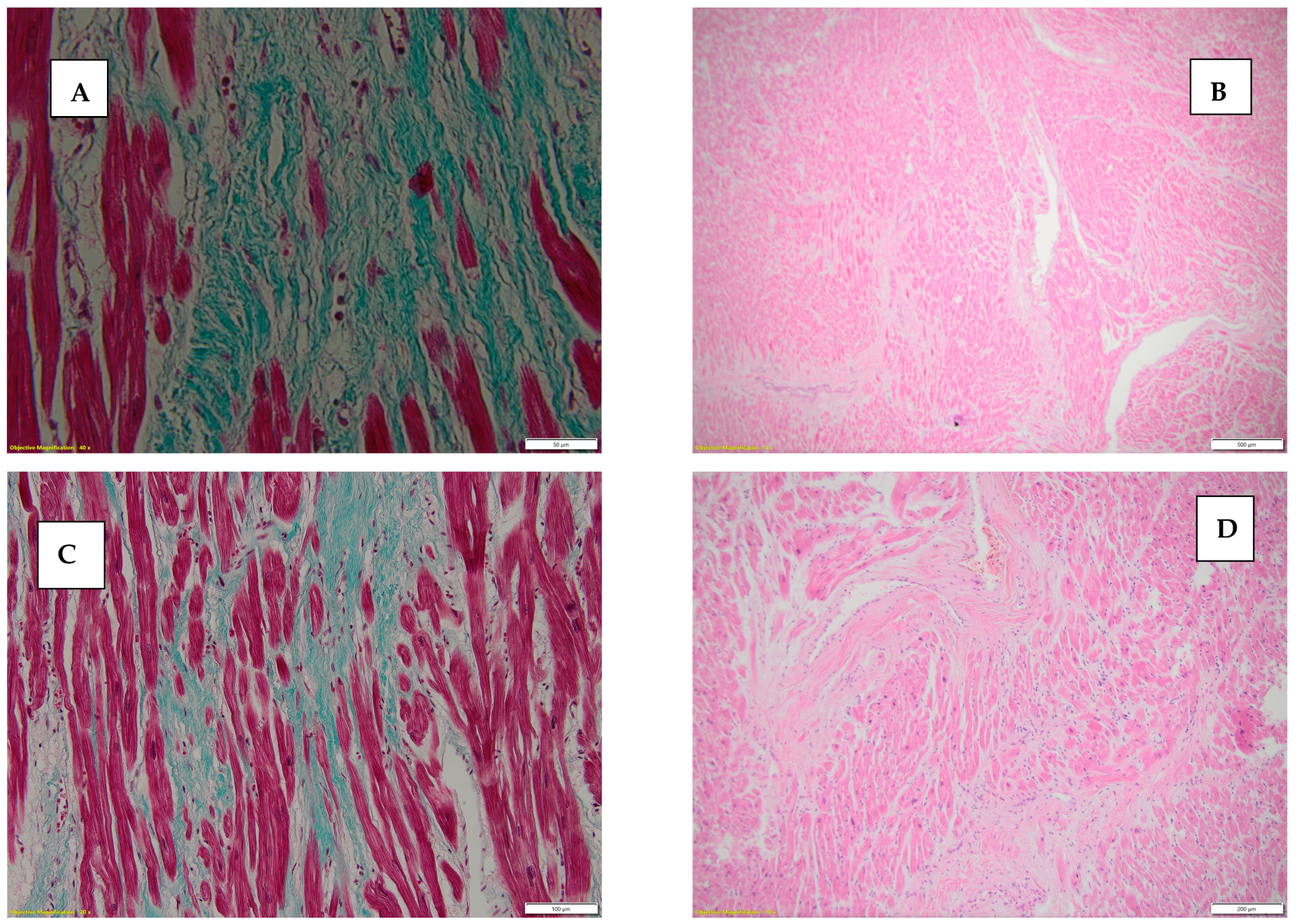 Diseases 13 00008 g002