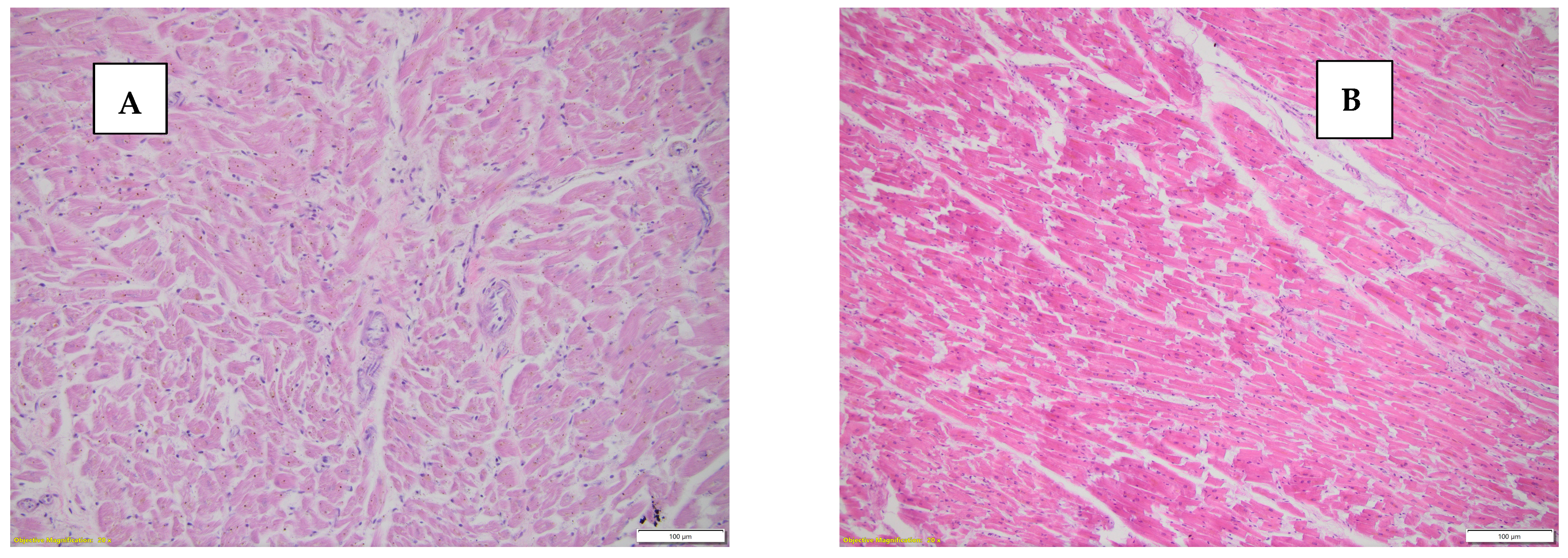 Diseases 13 00008 g003