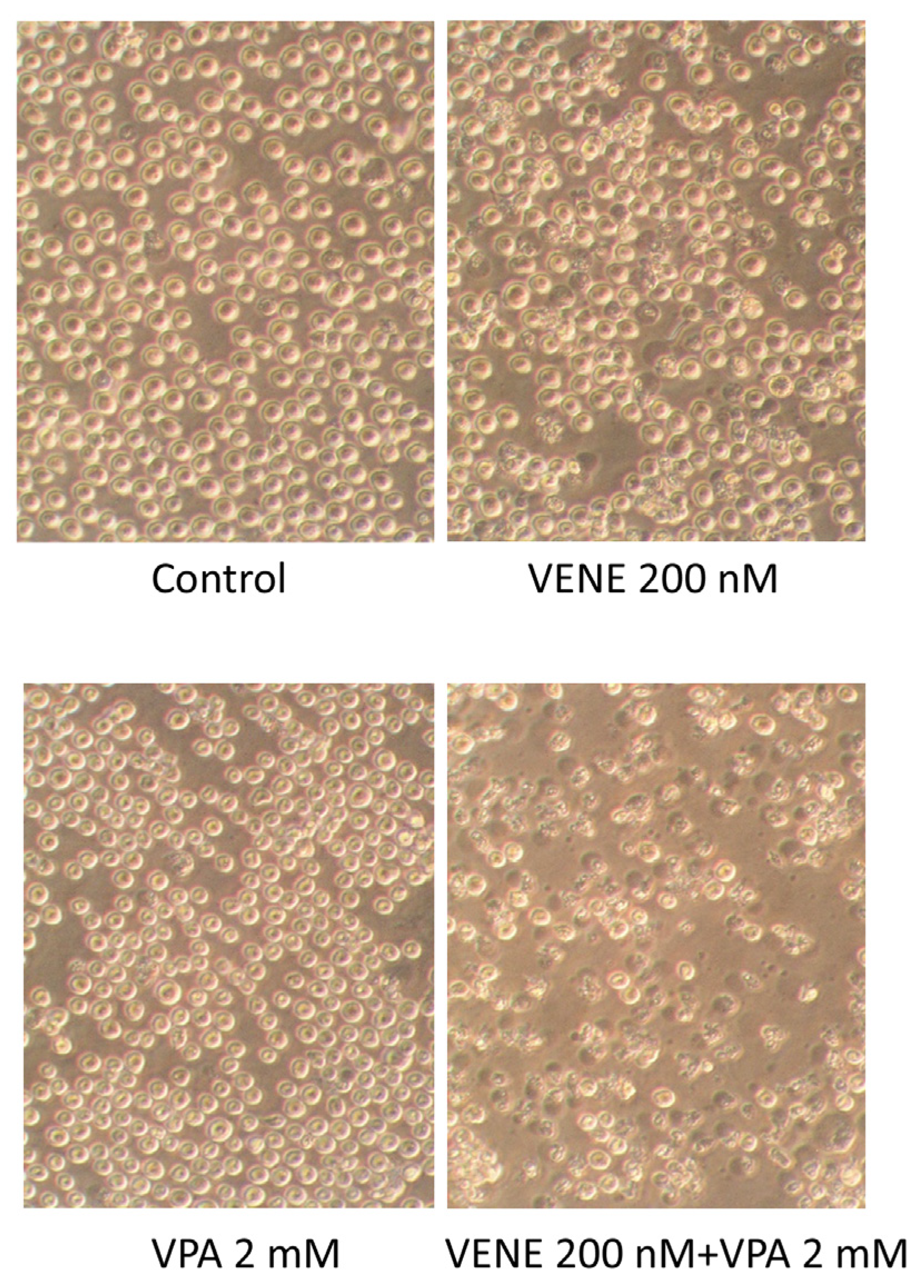 Diseases 13 00010 g002