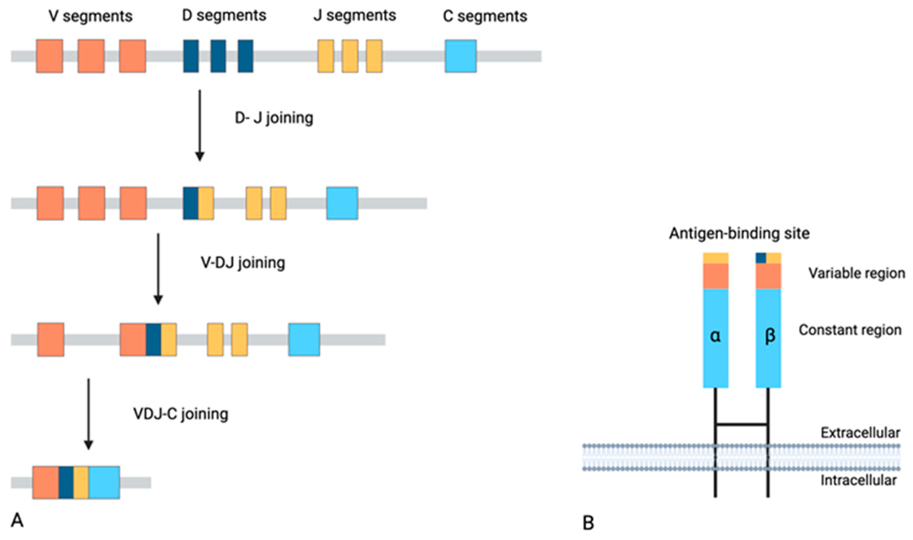 Diseases 13 00019 g001 Diseases 13 00019 g001