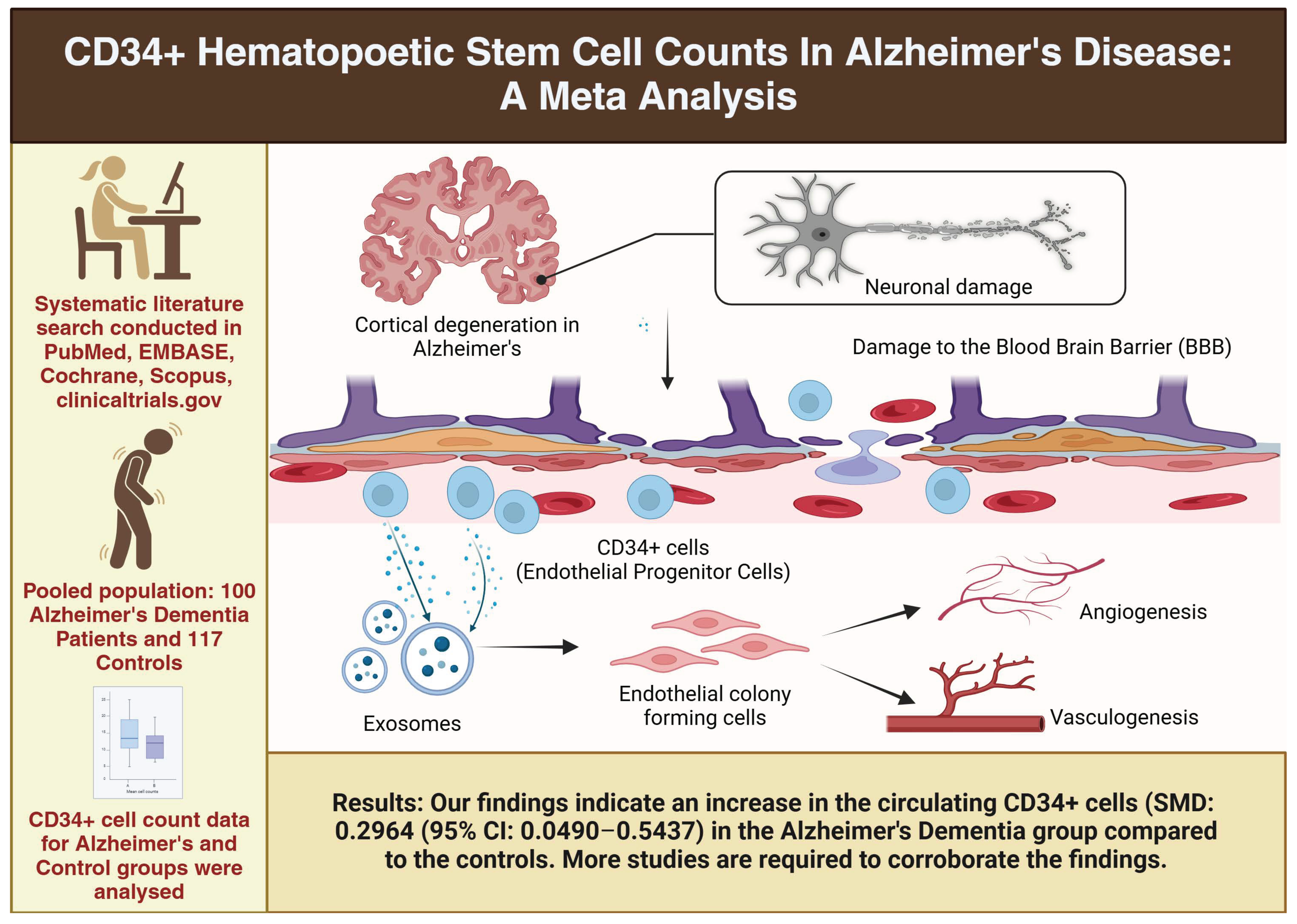 Diseases 13 00025 g004 Diseases 13 00025 g004