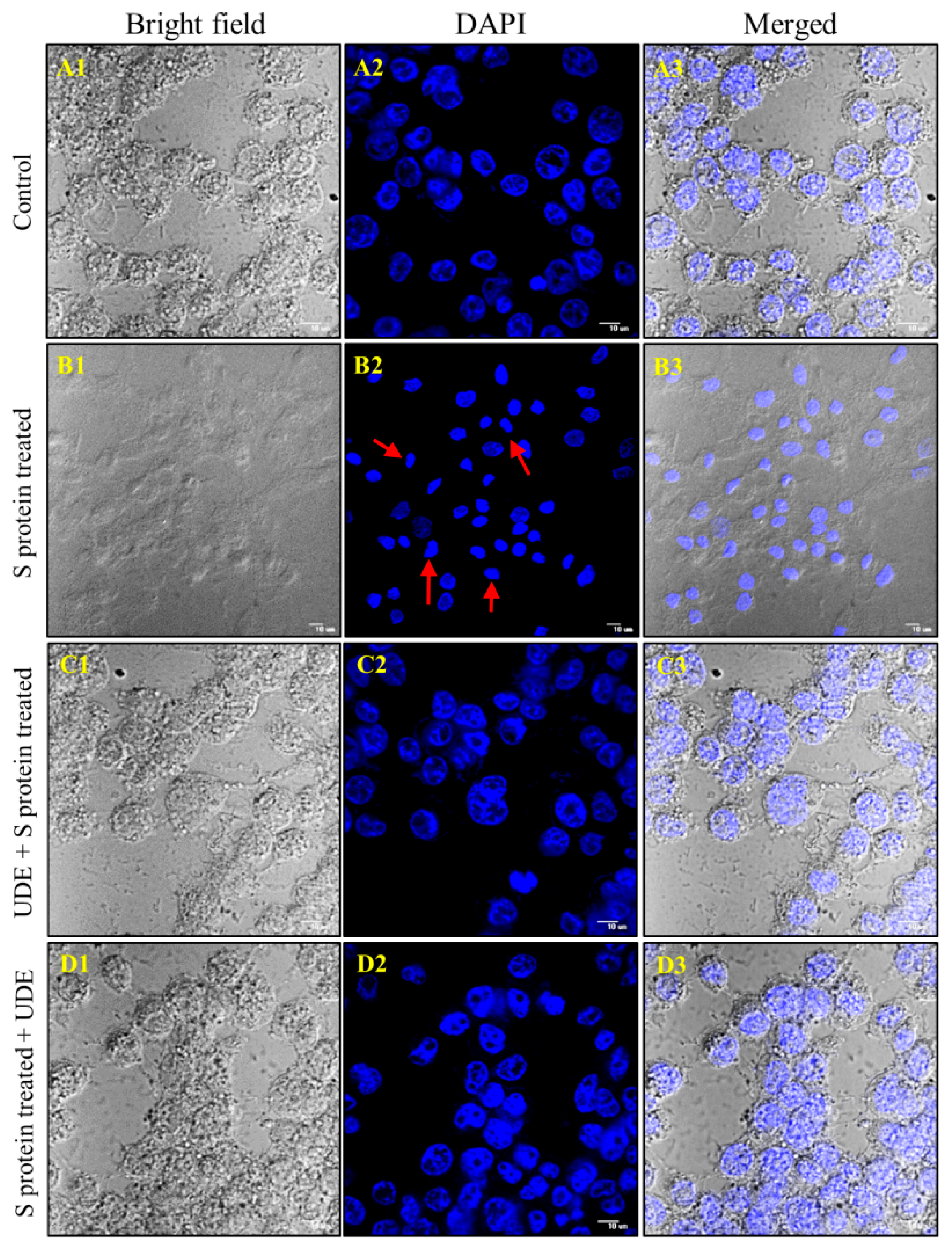 Diseases 13 00036 g003
