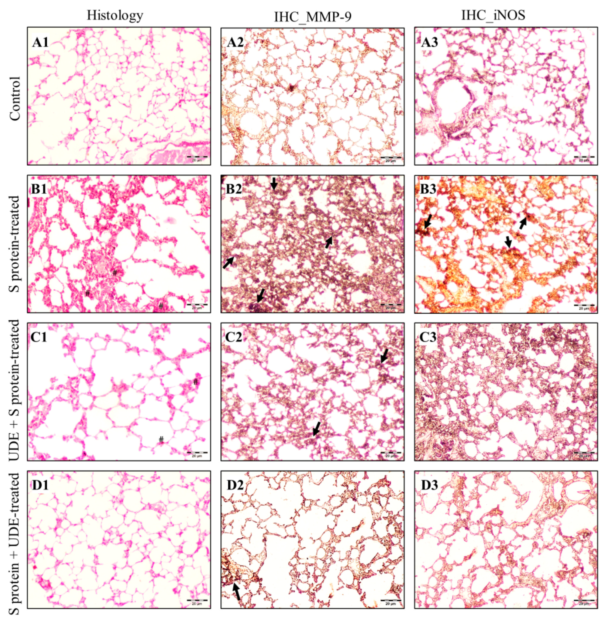 Diseases 13 00036 g009