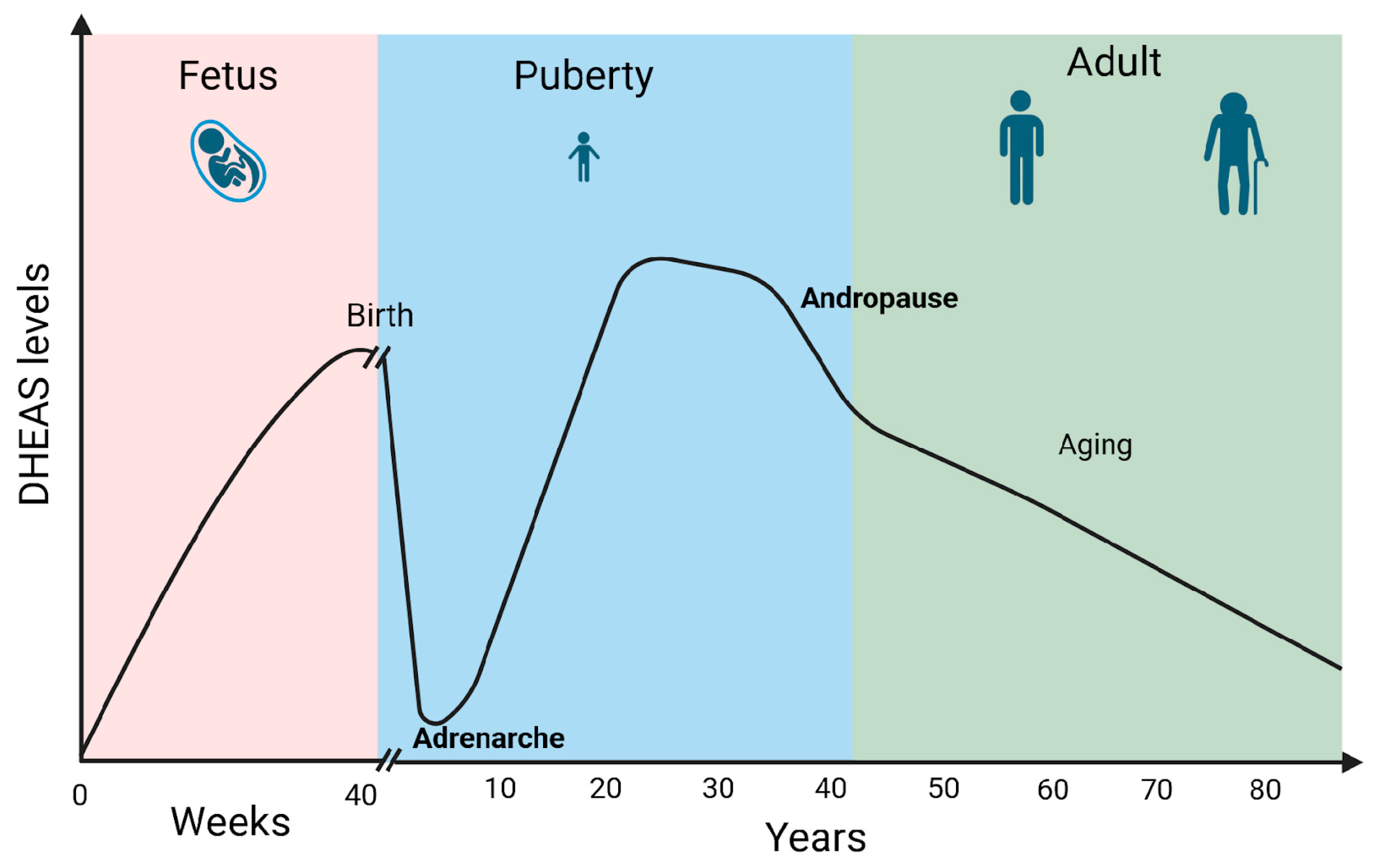Diseases 13 00042 g003