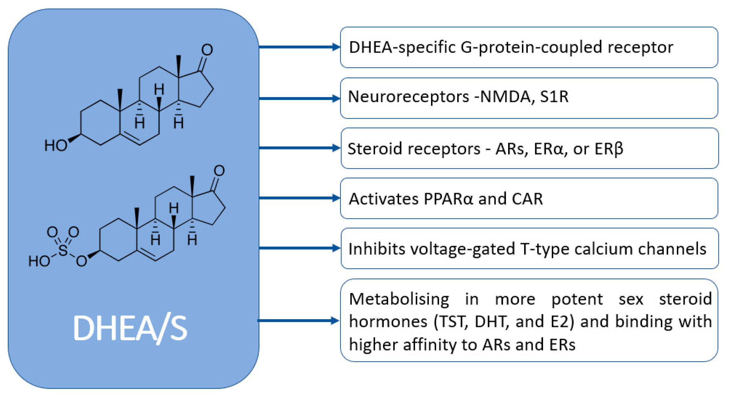 Diseases 13 00042 g004