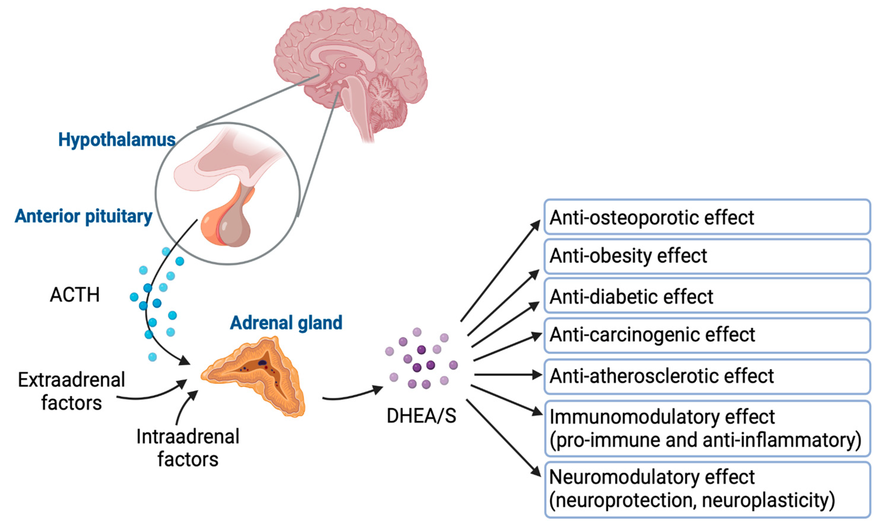 Diseases 13 00042 g005