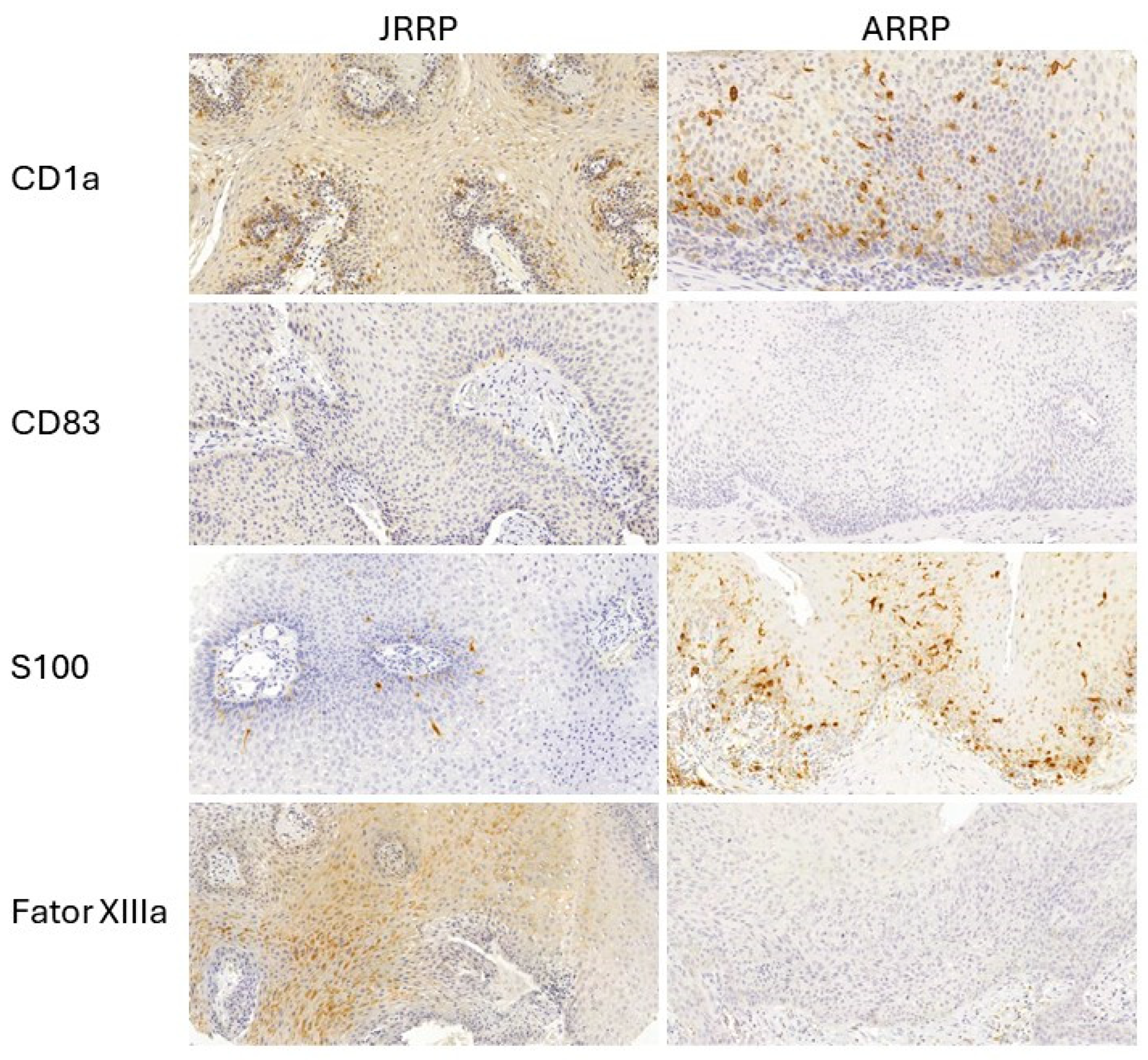 Diseases 13 00043 g001