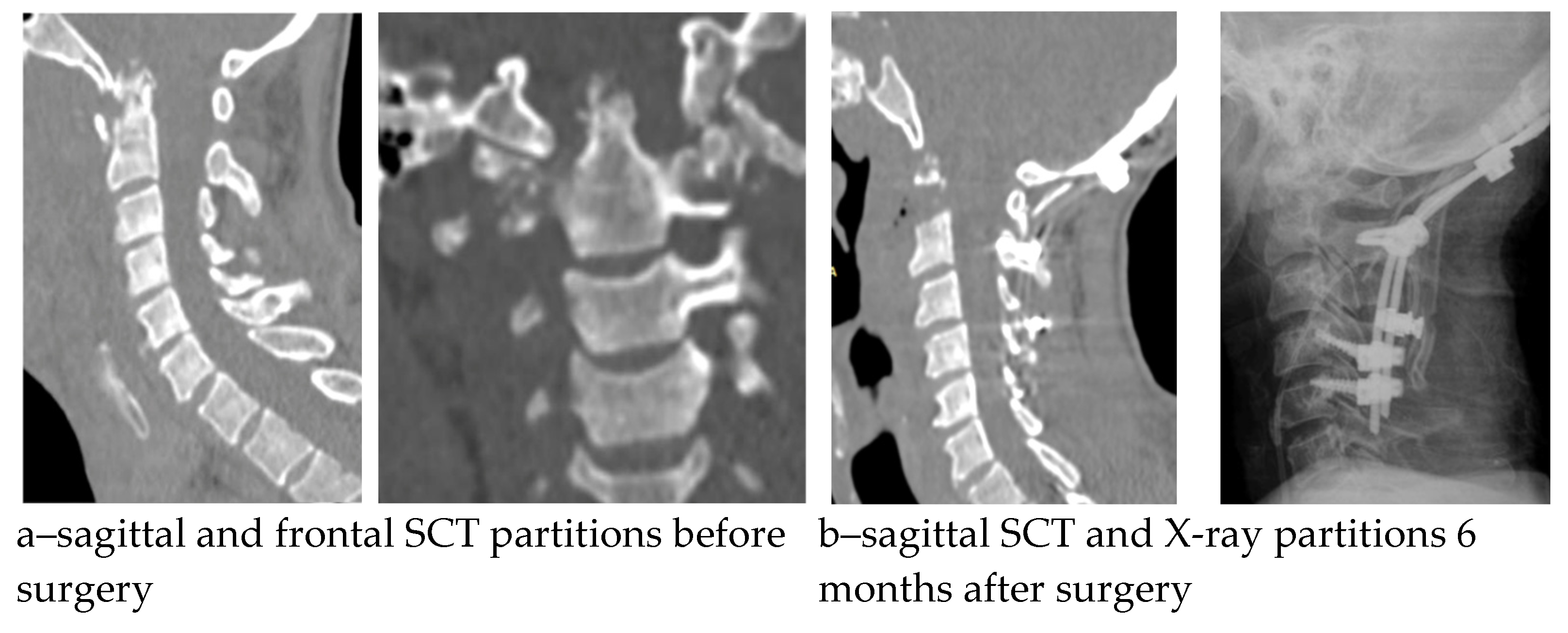 Diseases 13 00049 g002