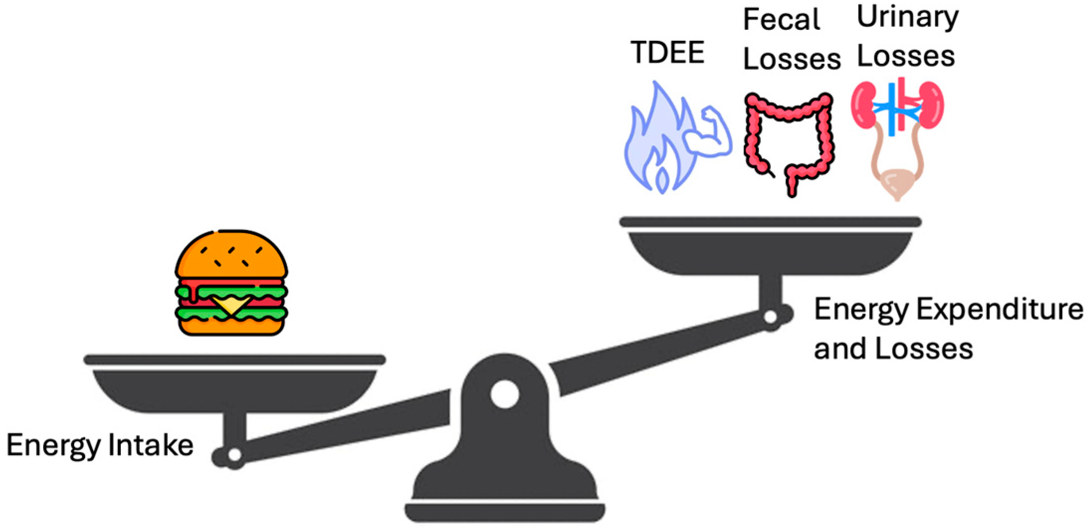 Diseases 13 00055 g001