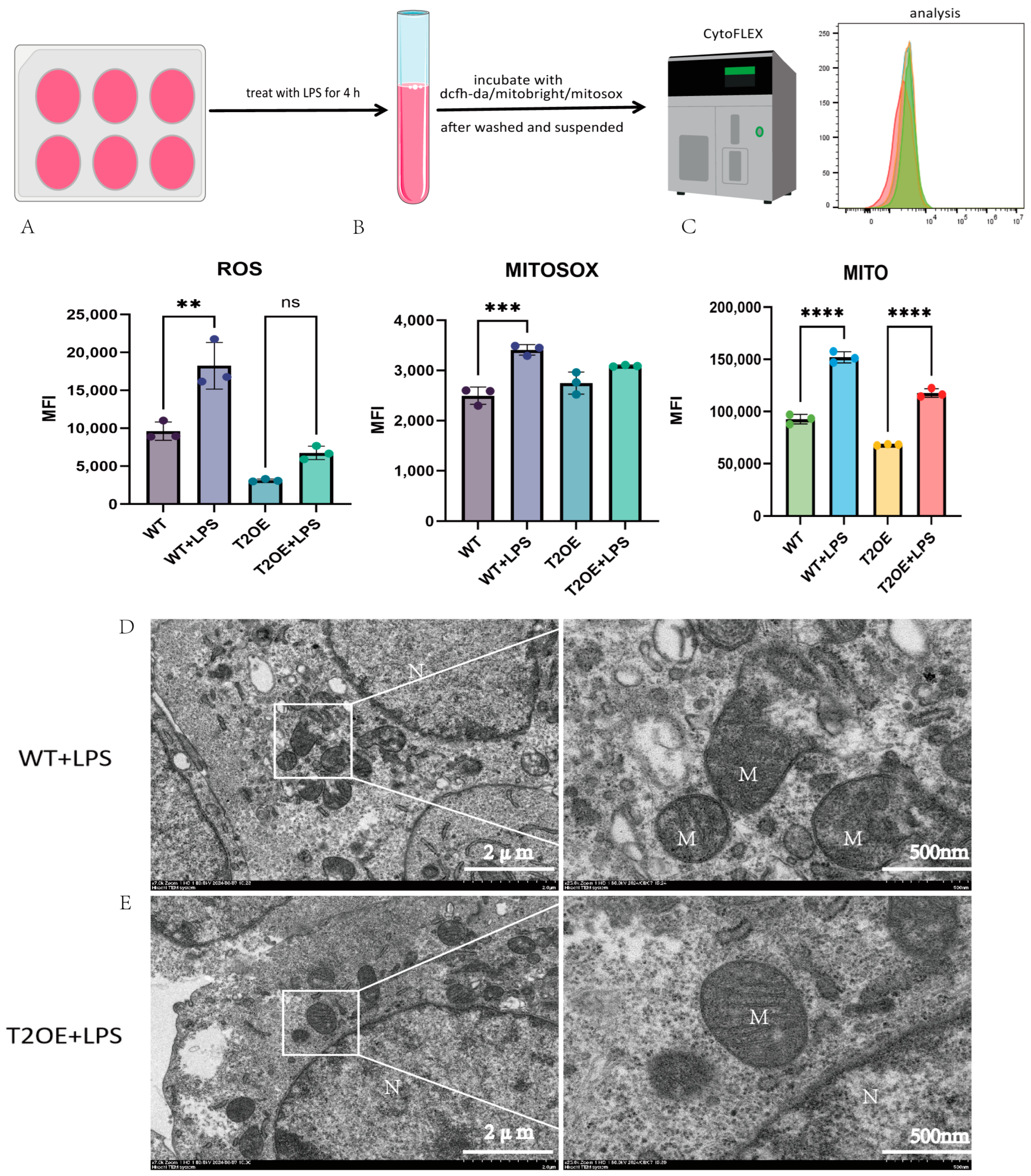 Diseases 13 00060 g004