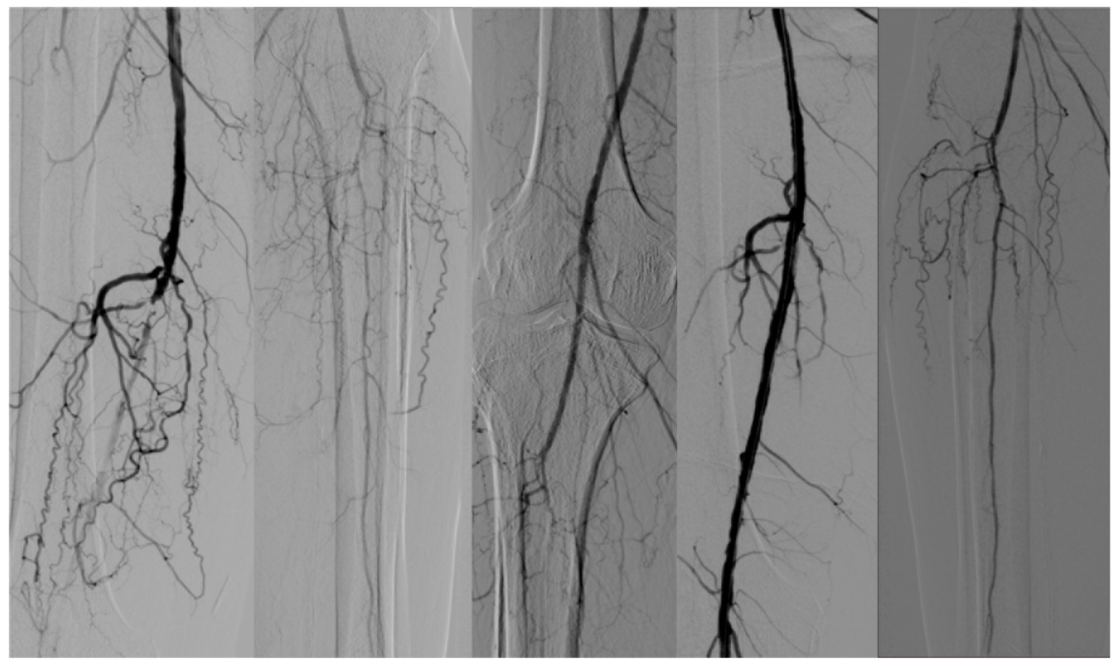 Diseases 13 00063 g004