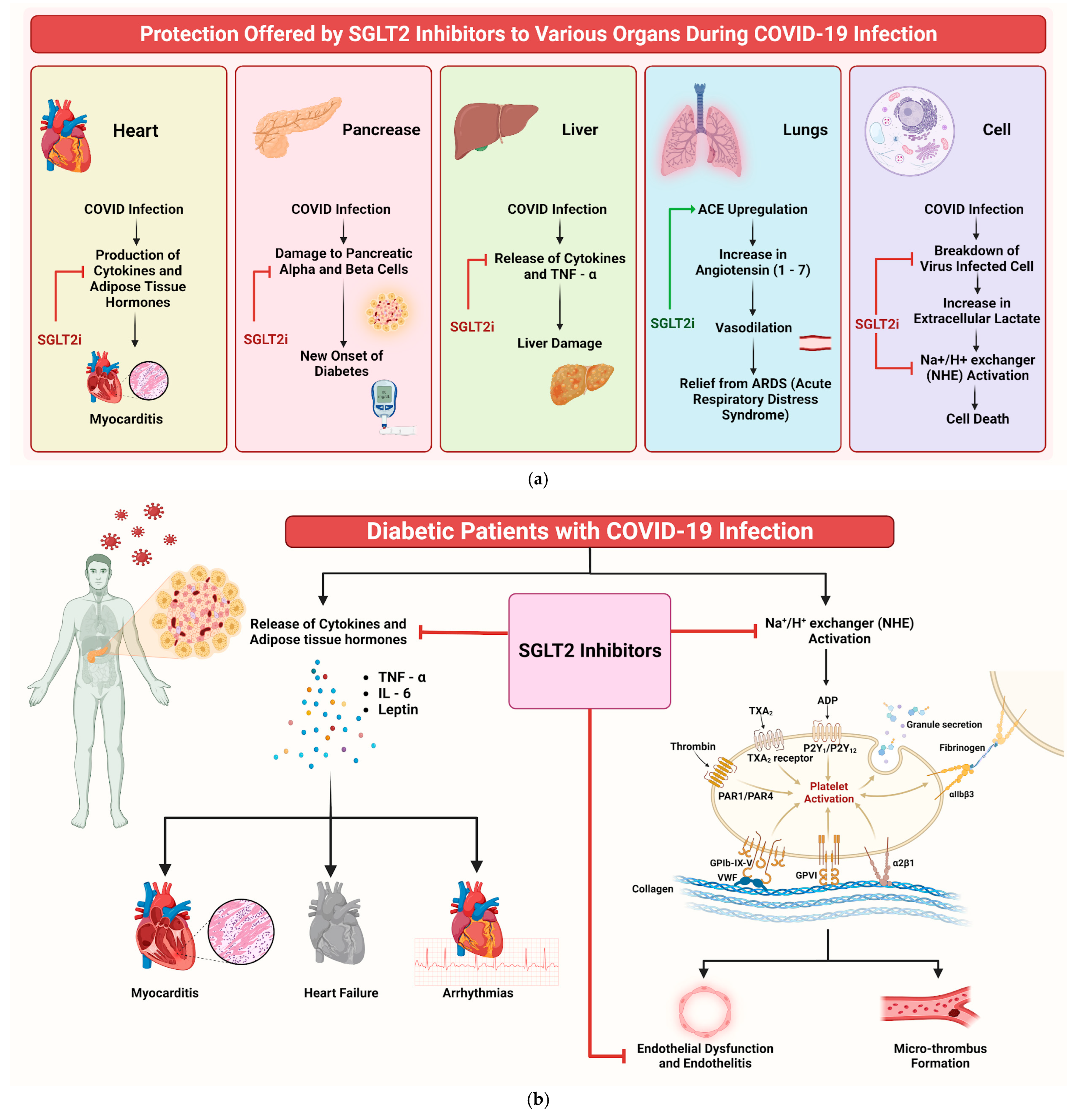 Diseases 13 00067 g008