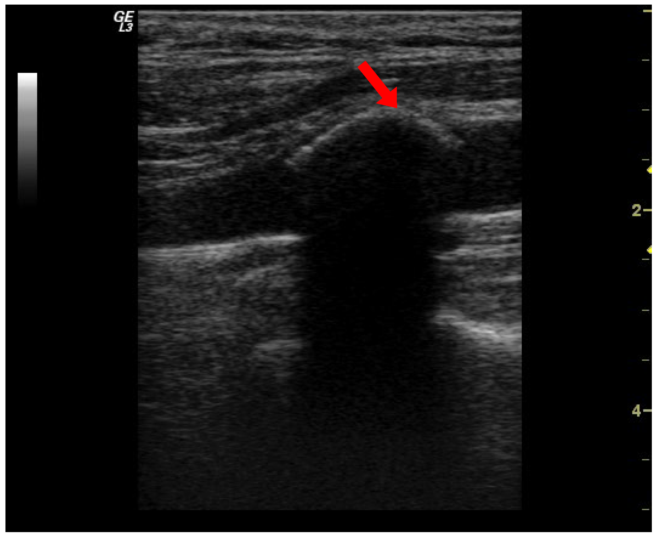 Diseases 13 00073 g001