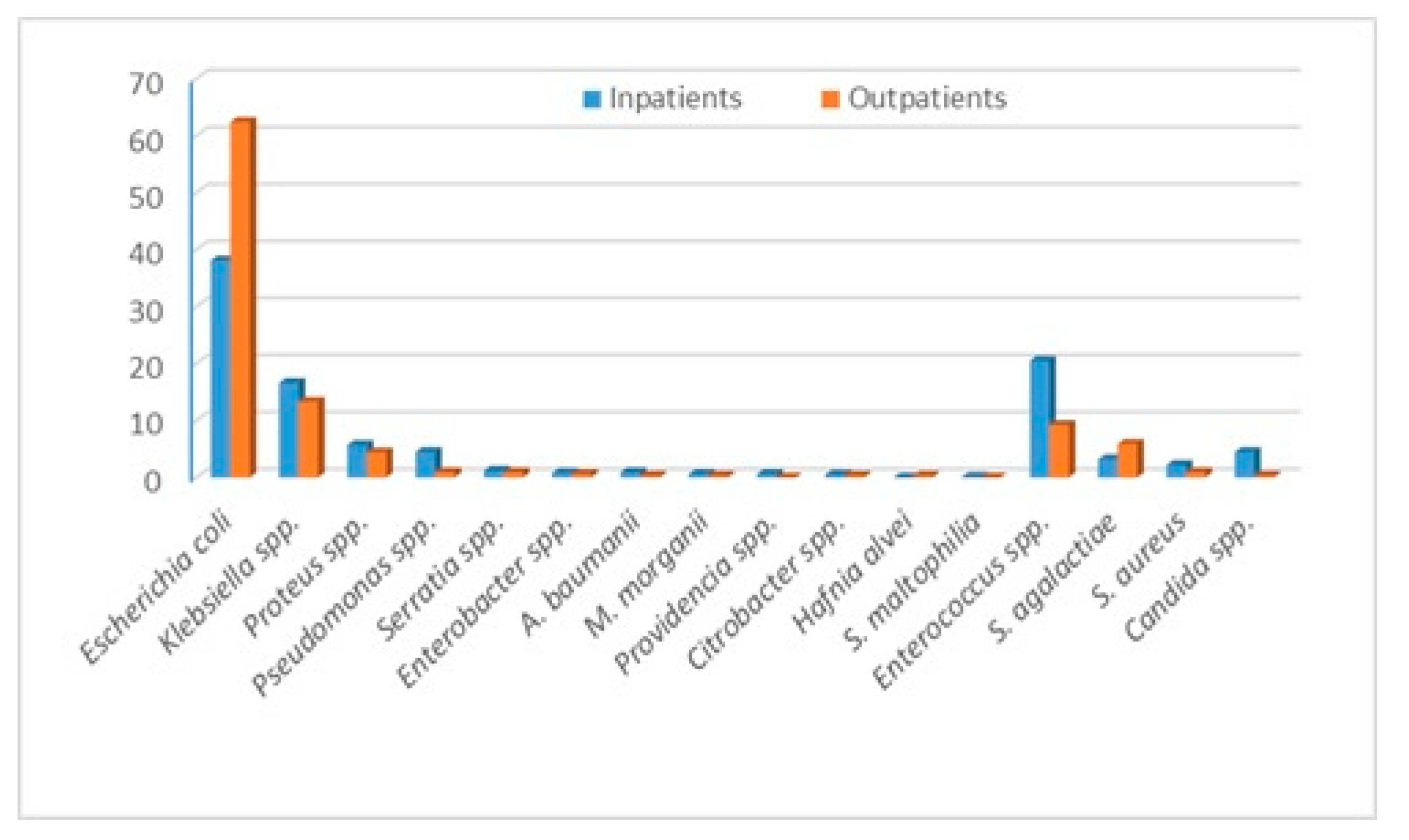 Diseases 13 00074 g001
