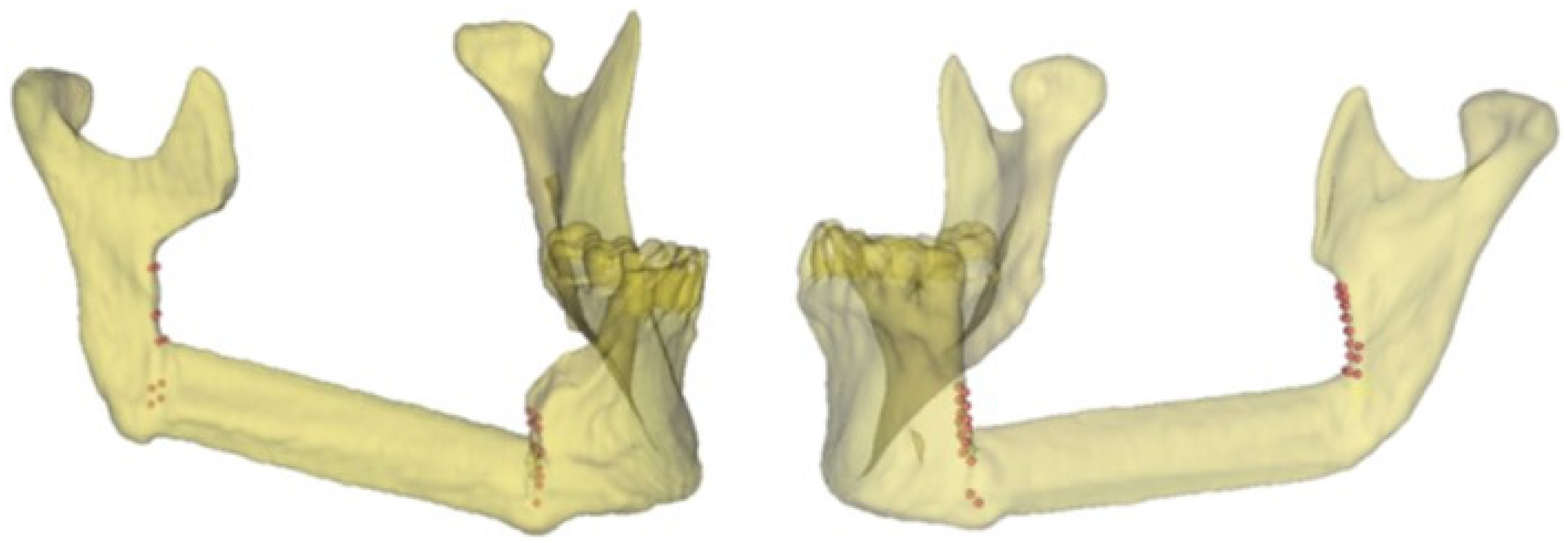 Diseases 13 00081 g002