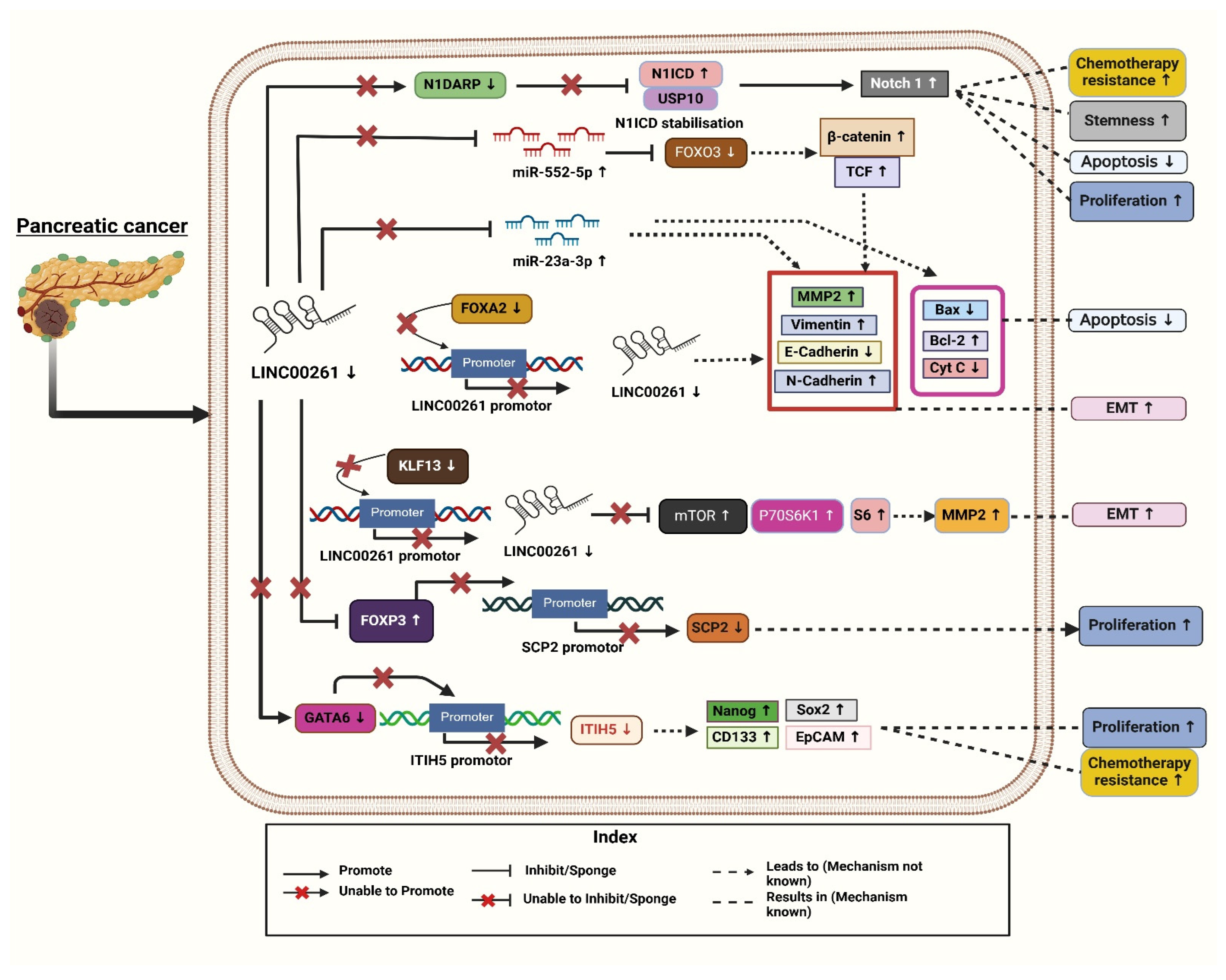 Diseases 13 00089 g001
