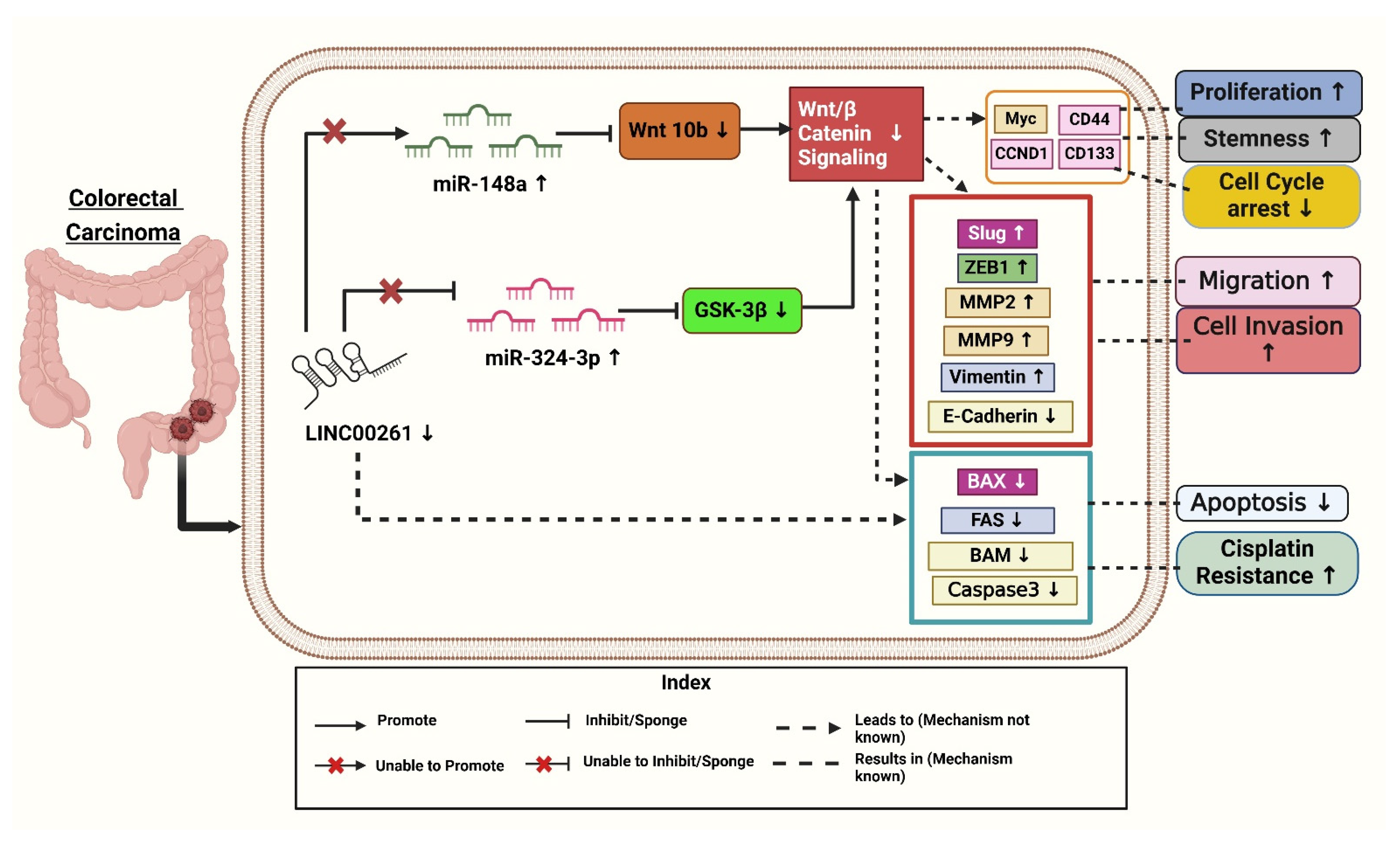 Diseases 13 00089 g002