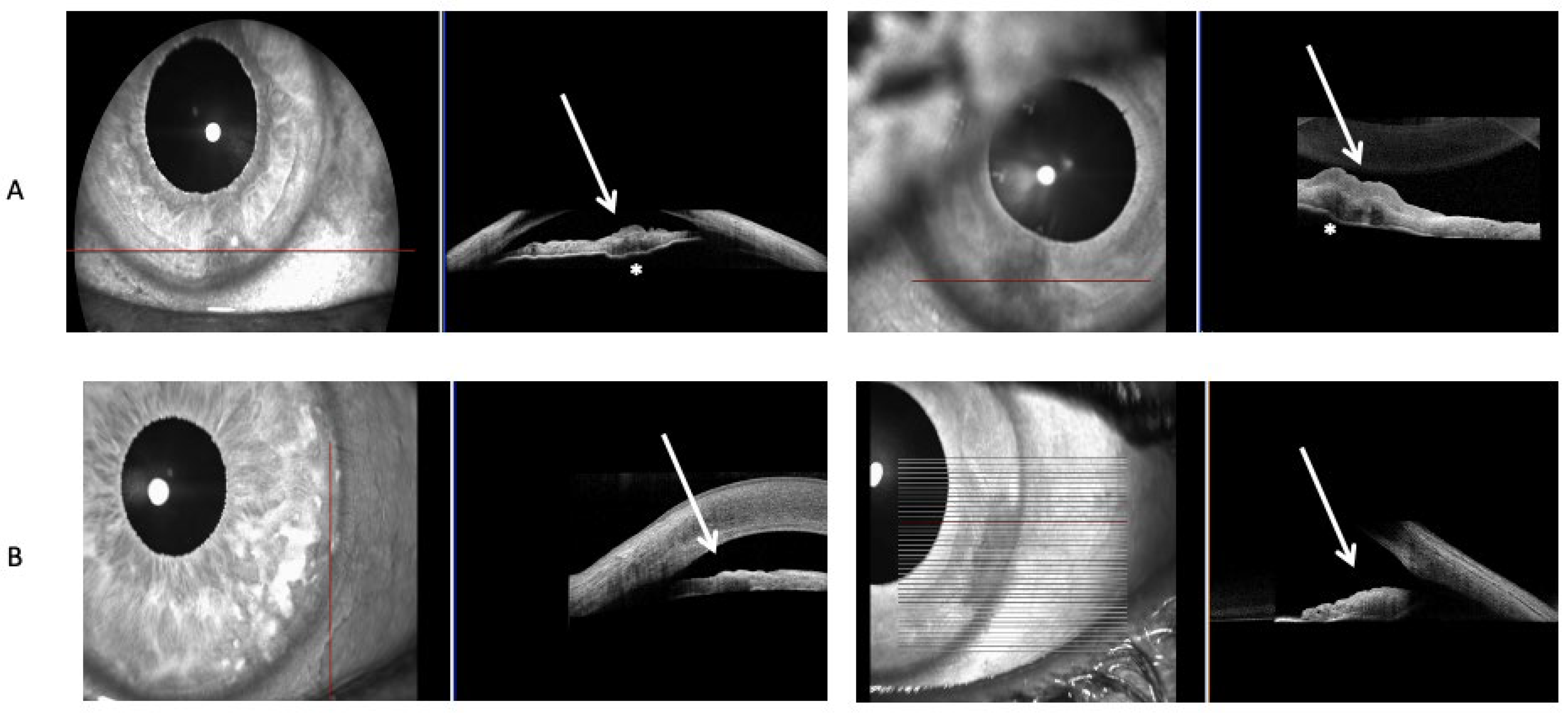 Diseases 13 00099 g002