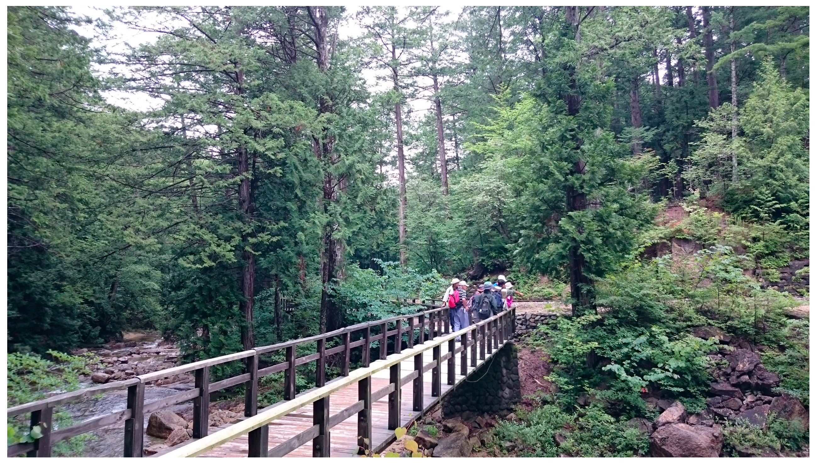 Diseases 13 00100 g002