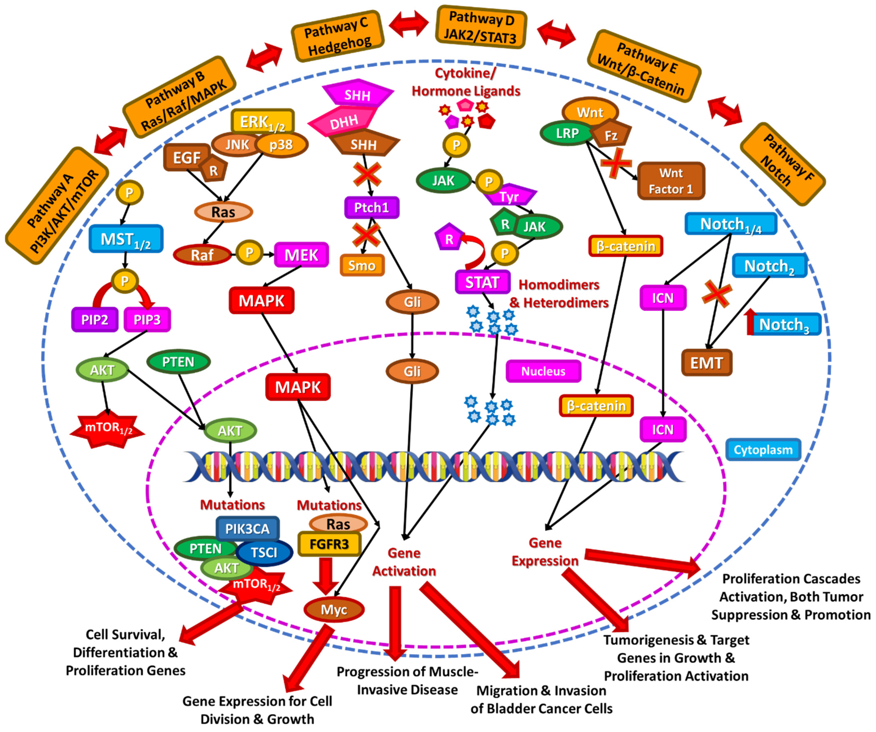 Diseases 13 00103 g001 Diseases 13 00103 g001