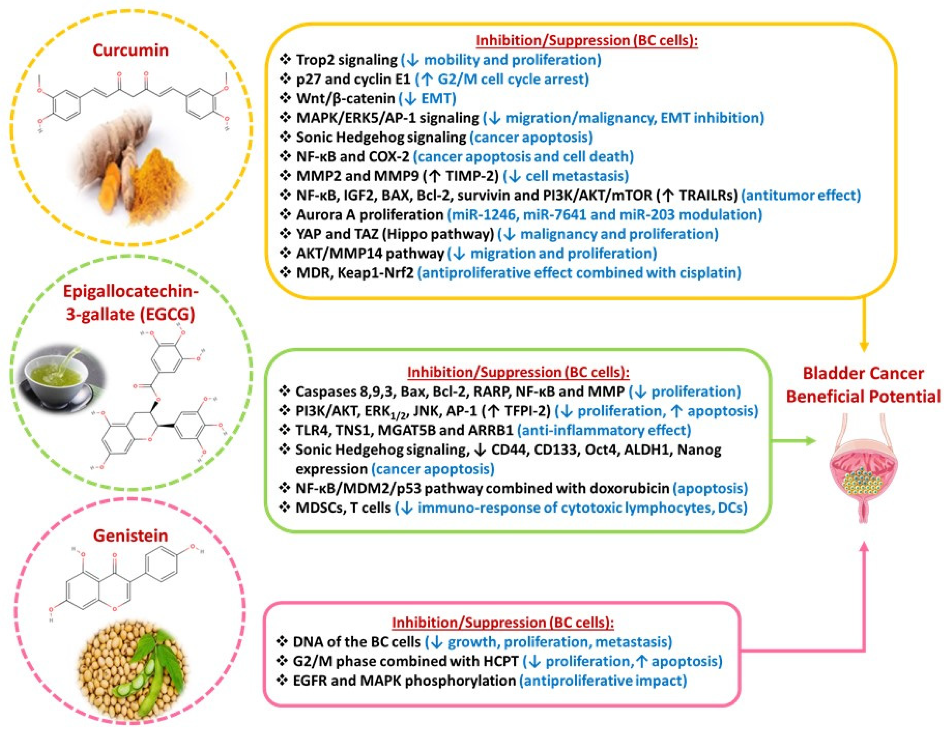 Diseases 13 00103 g003 Diseases 13 00103 g003