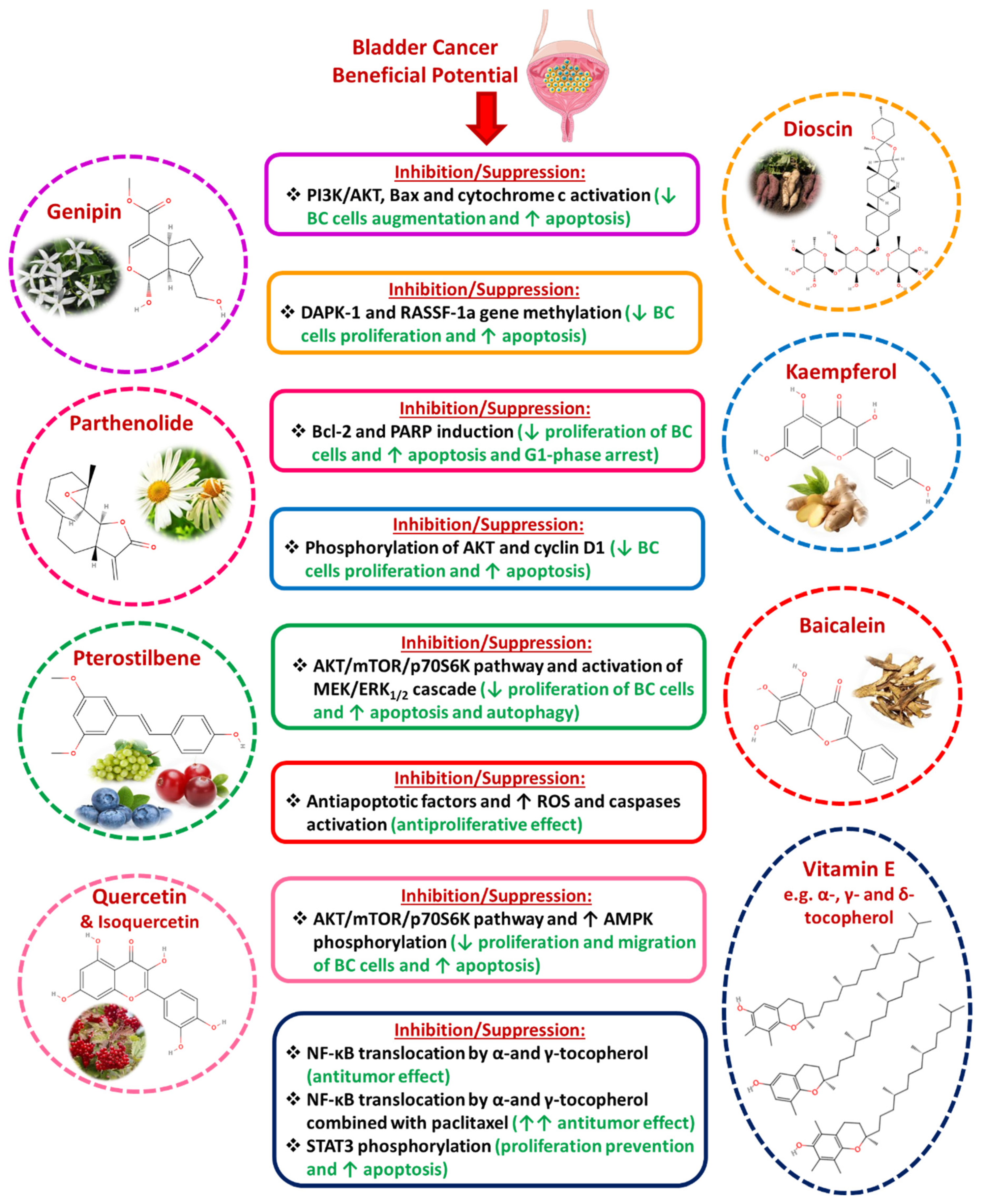 Diseases 13 00103 g005 Diseases 13 00103 g005